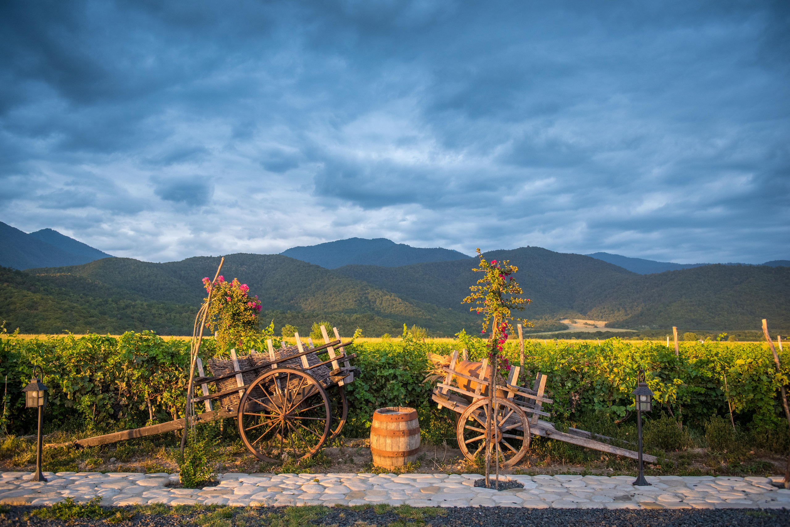 Landscapes. Photographer in Tbilisi