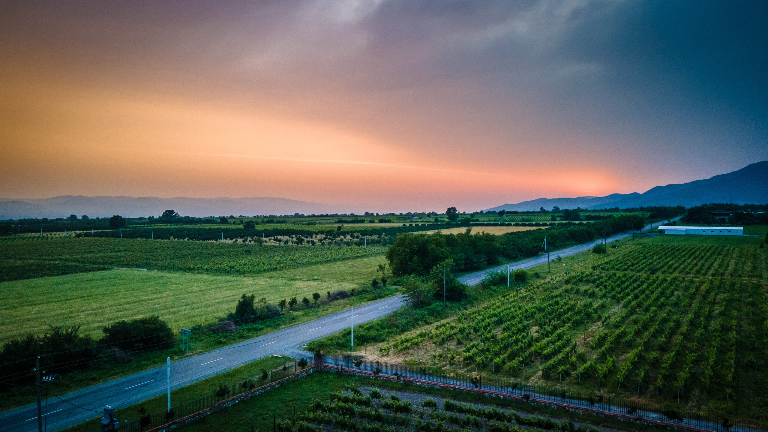Photographer in Tbilisi