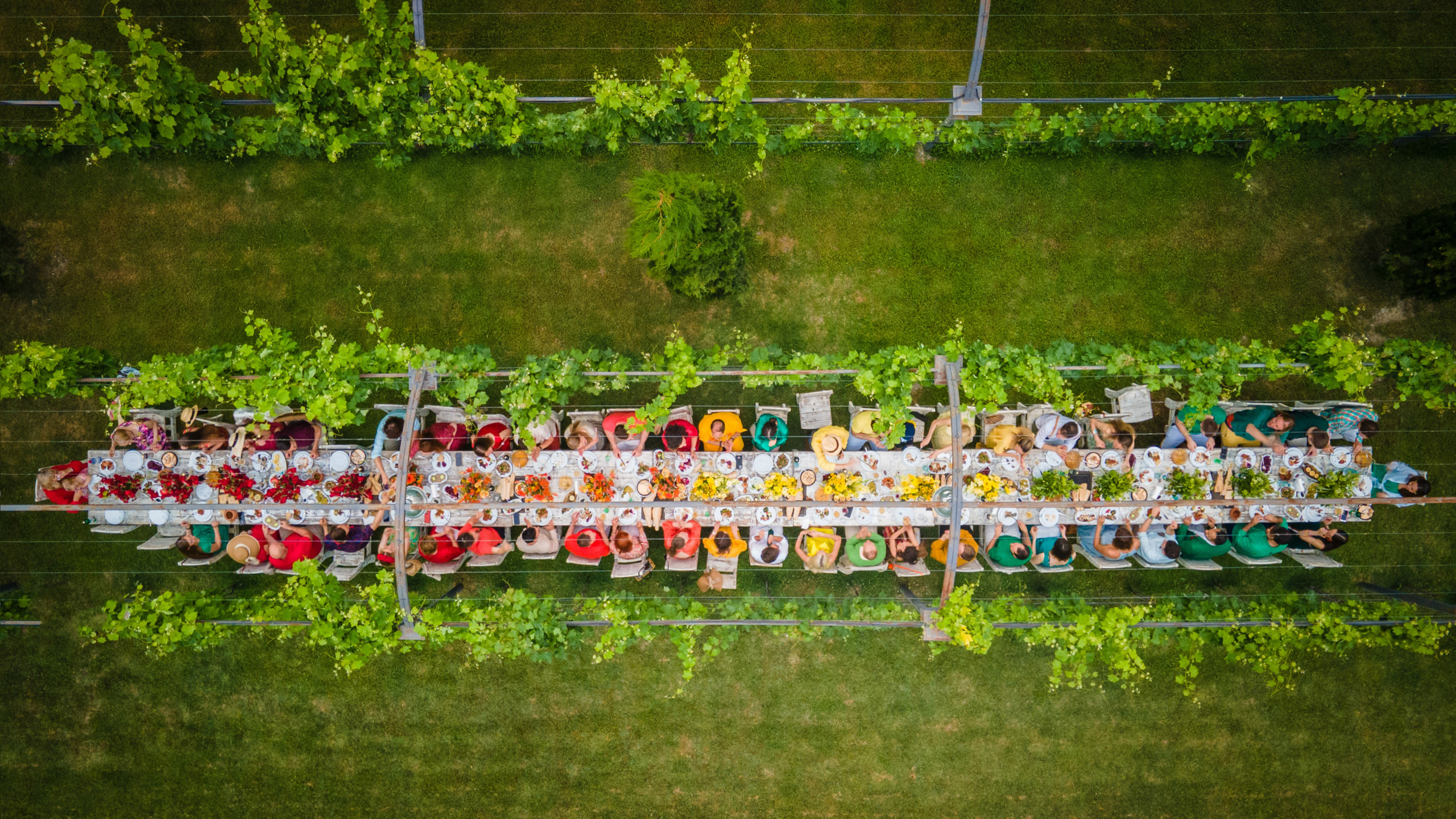 Photographer in Tbilisi