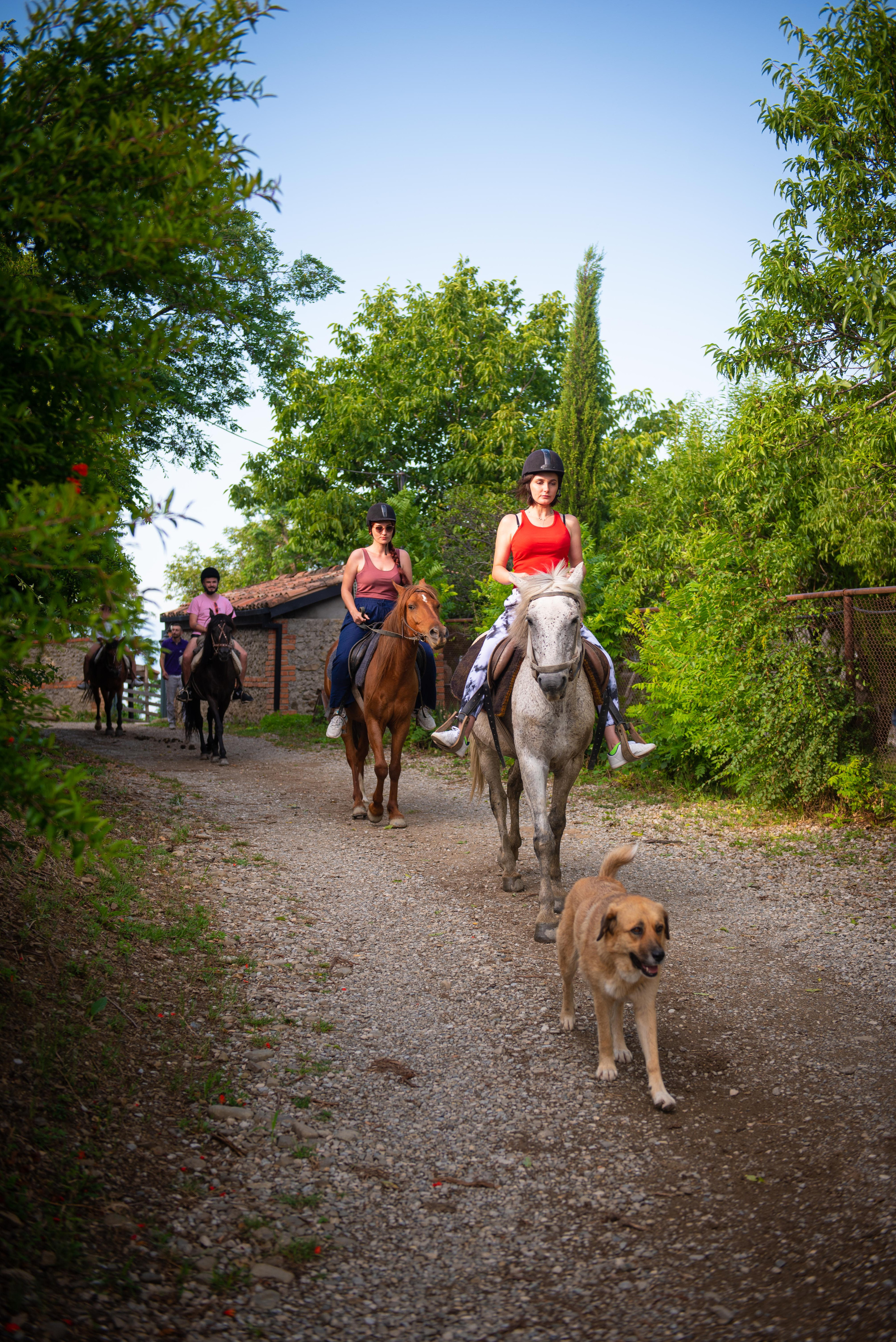 Event photography. Photographer in Tbilisi