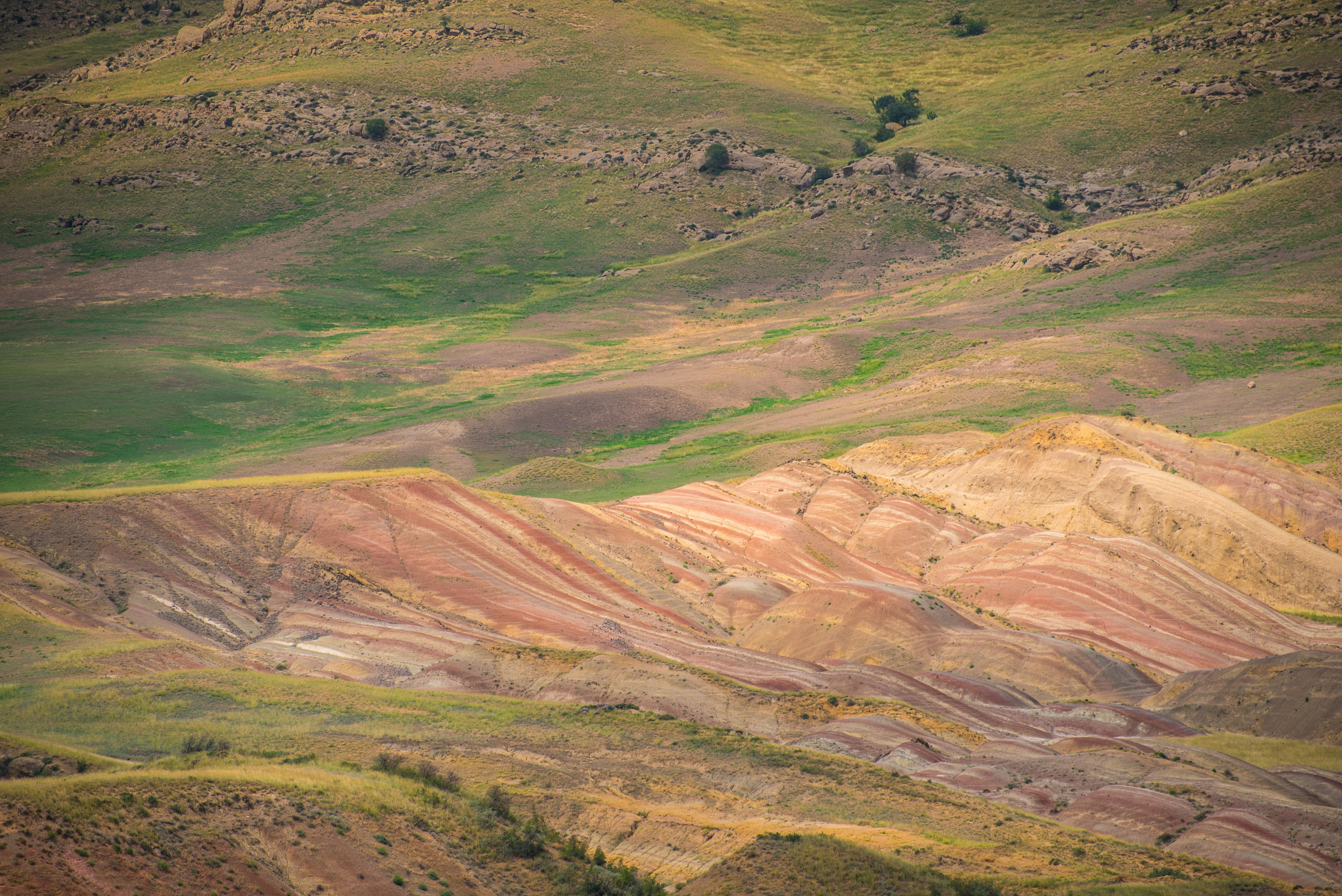 Landscapes. Photographer in Tbilisi