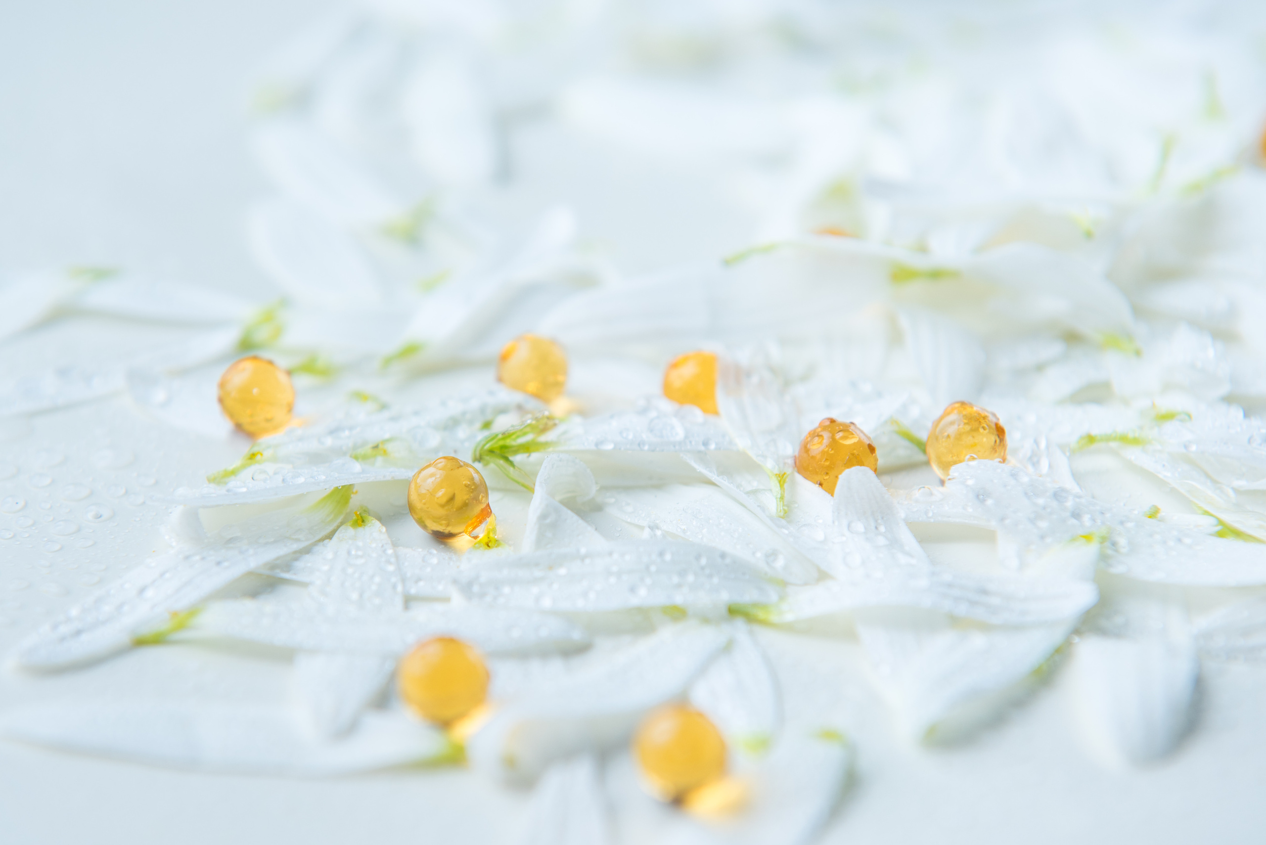 Product. Photographer in Tbilisi