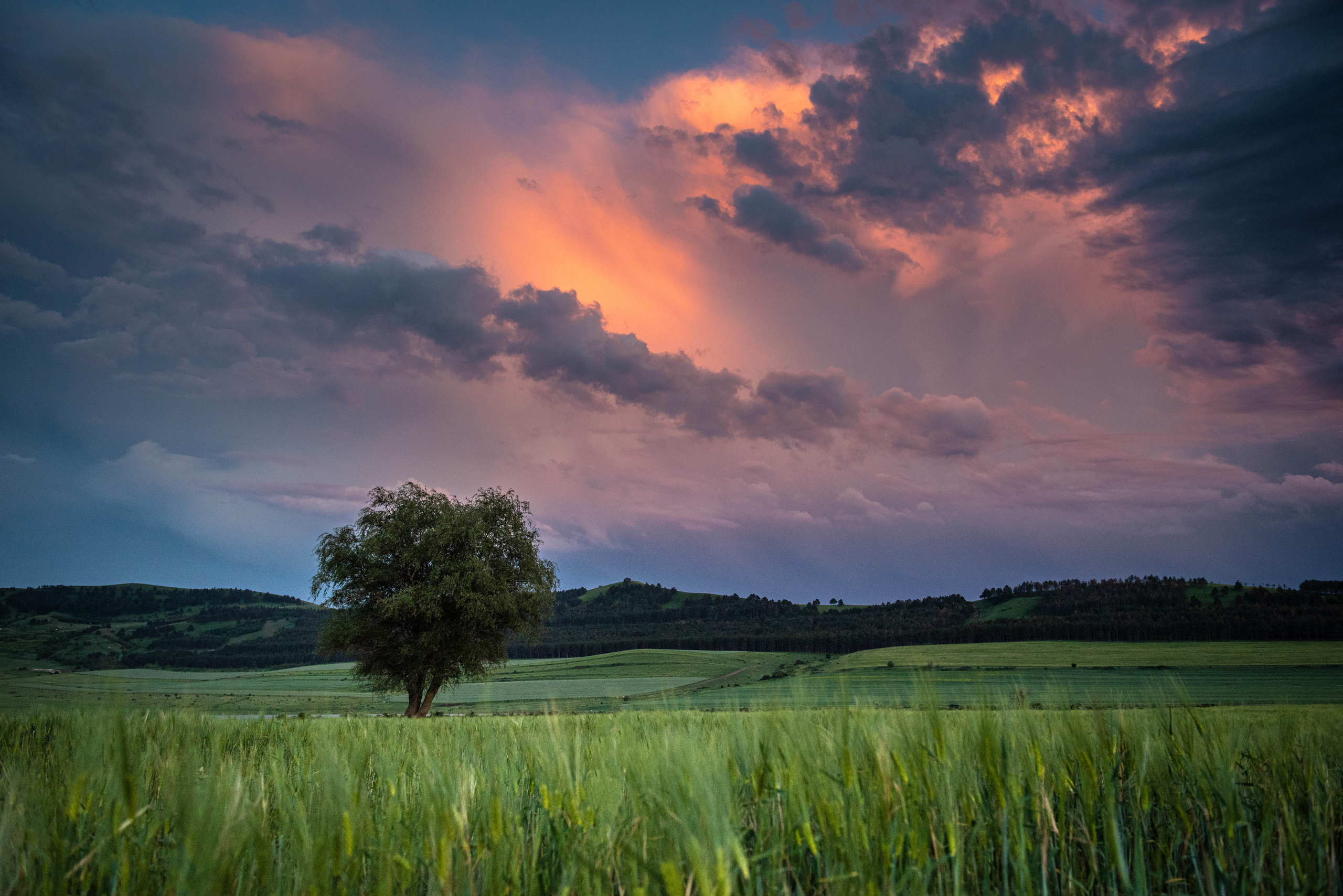 Landscapes. Photographer in Tbilisi