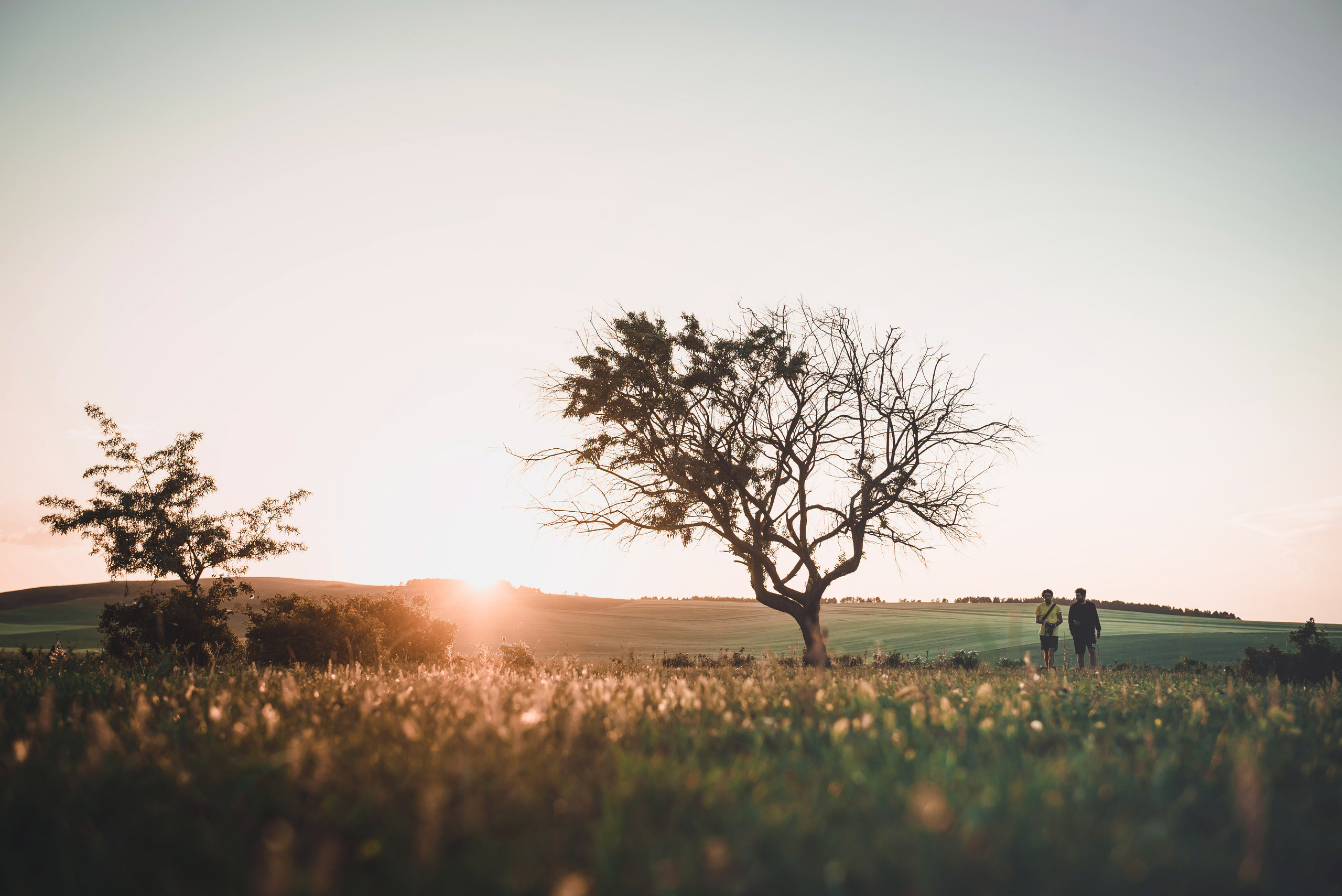 Landscapes. Photographer in Tbilisi