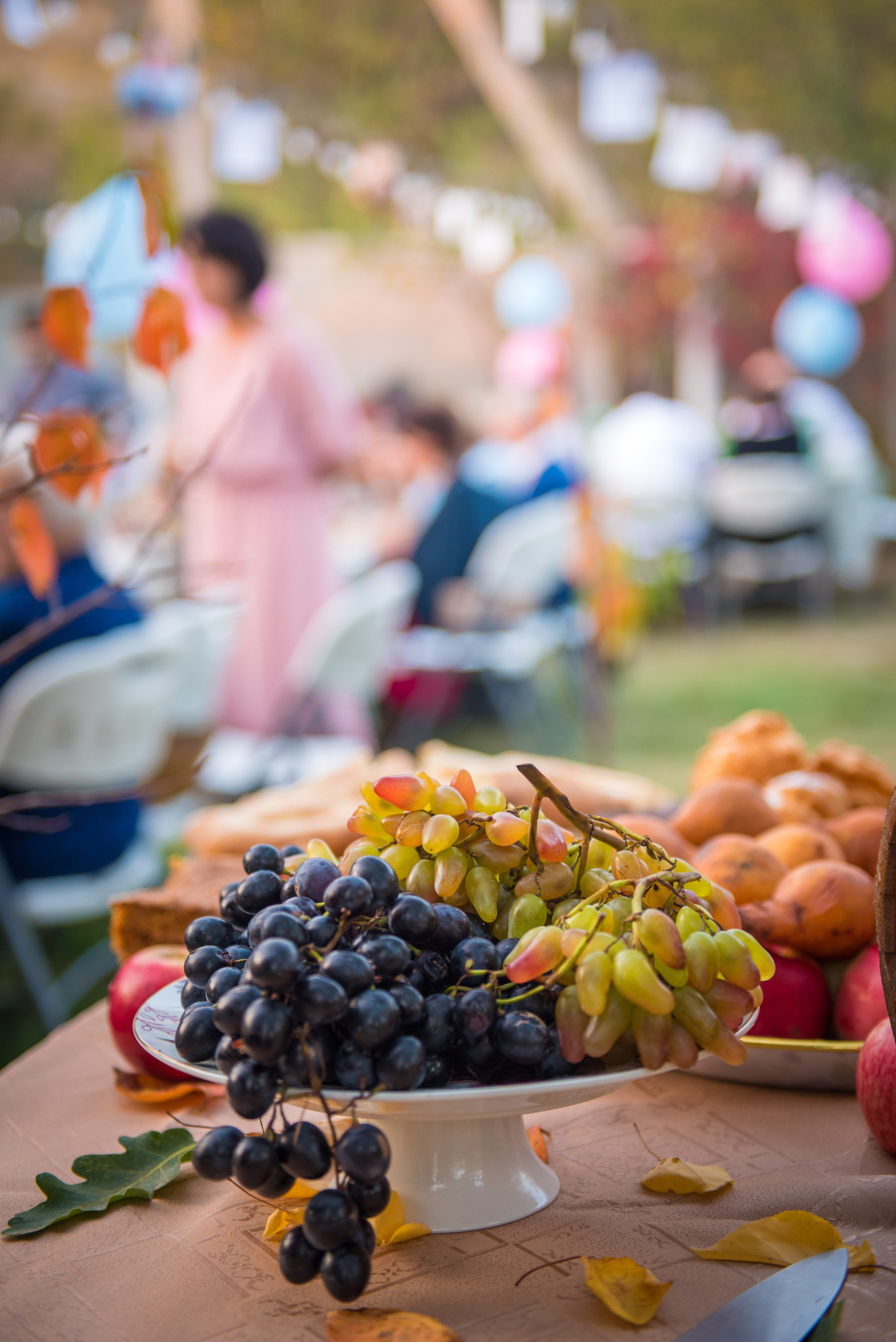 Event photography. Photographer in Tbilisi