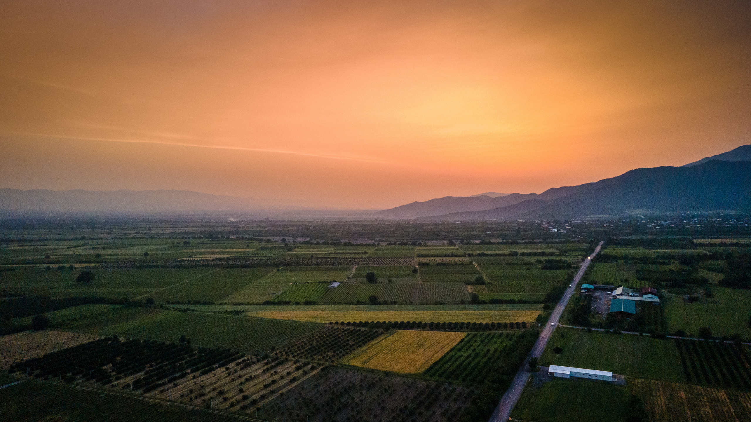 Photographer in Tbilisi