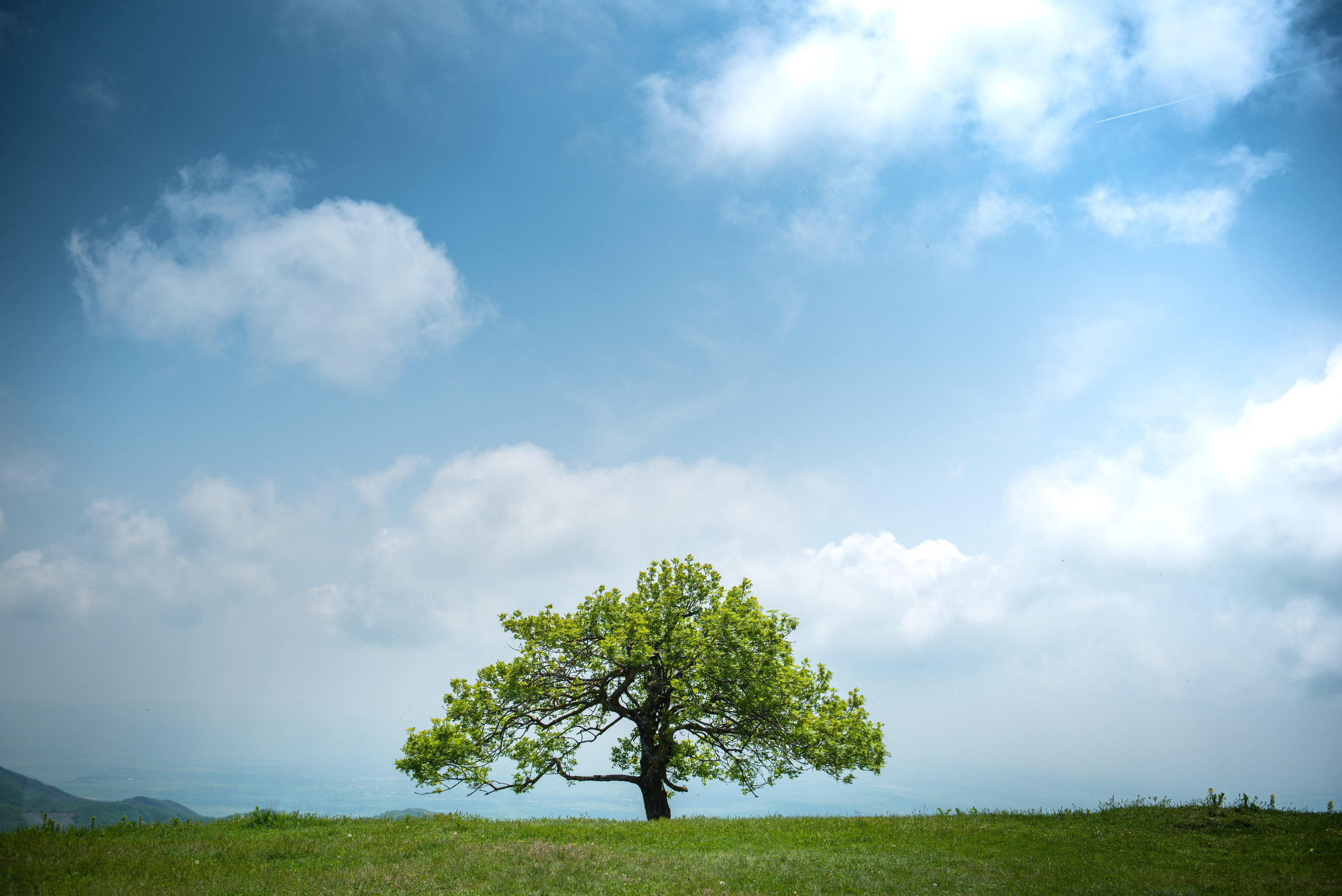 Landscapes. Photographer in Tbilisi