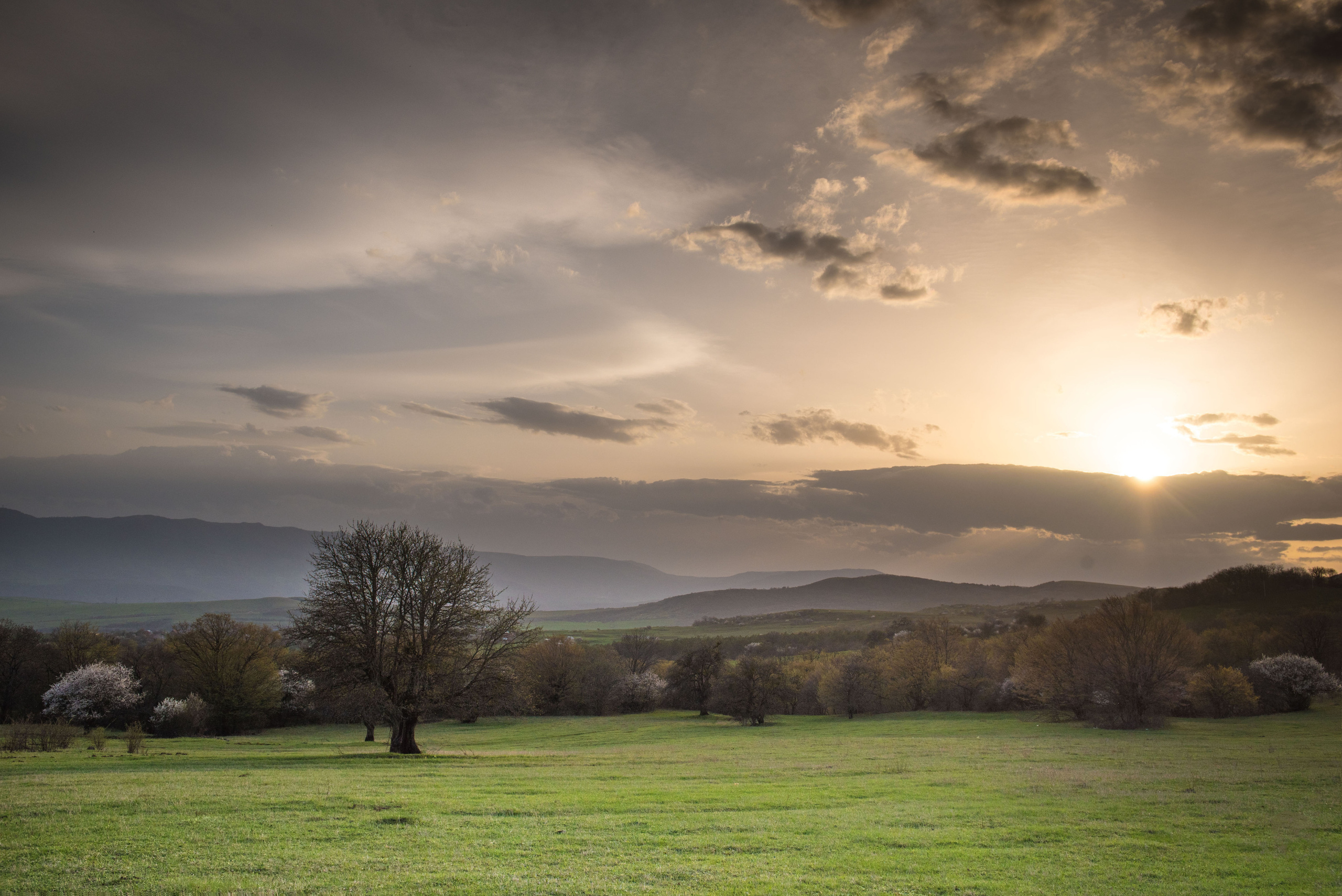 Landscapes. Photographer in Tbilisi