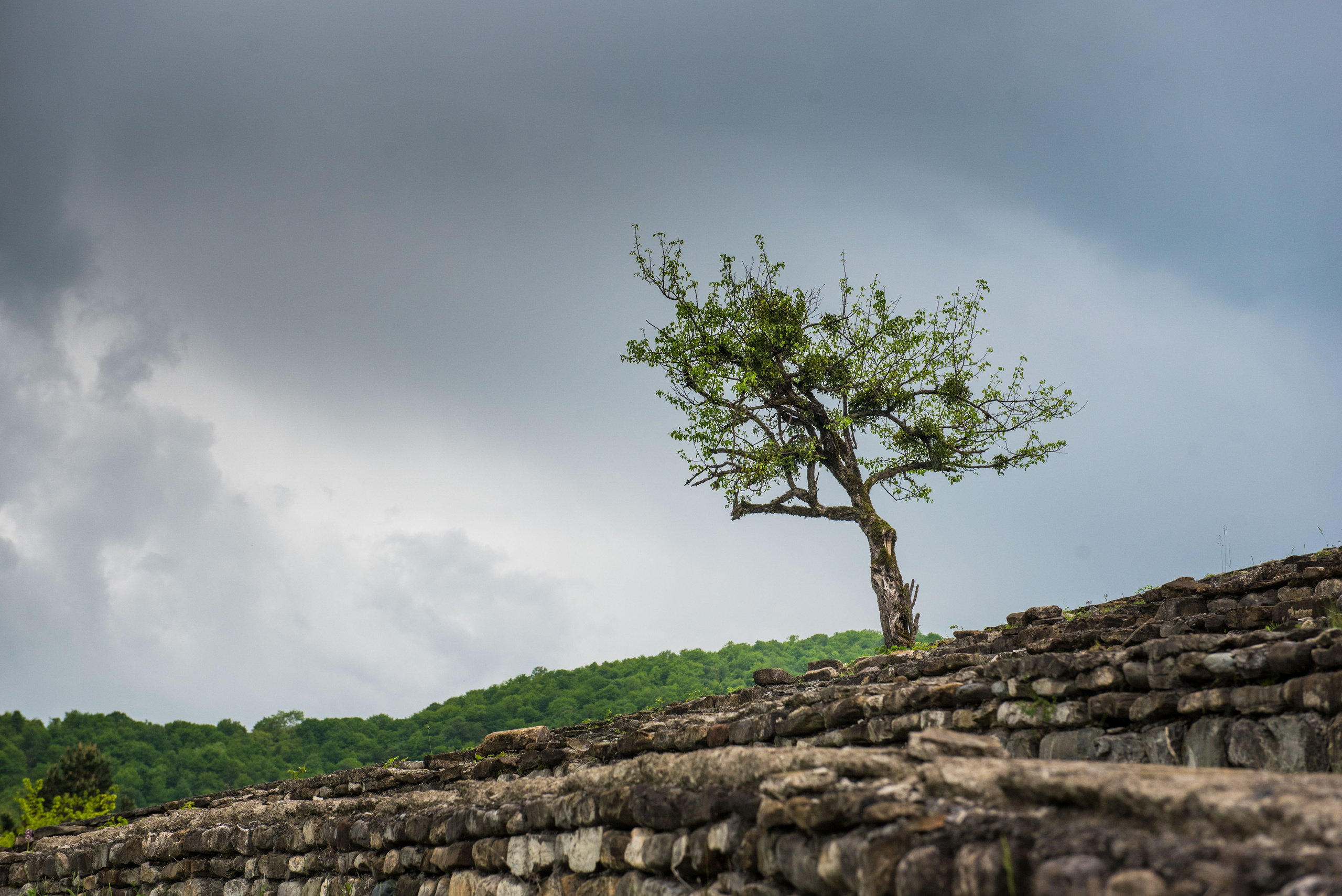 Landscapes. Photographer in Tbilisi