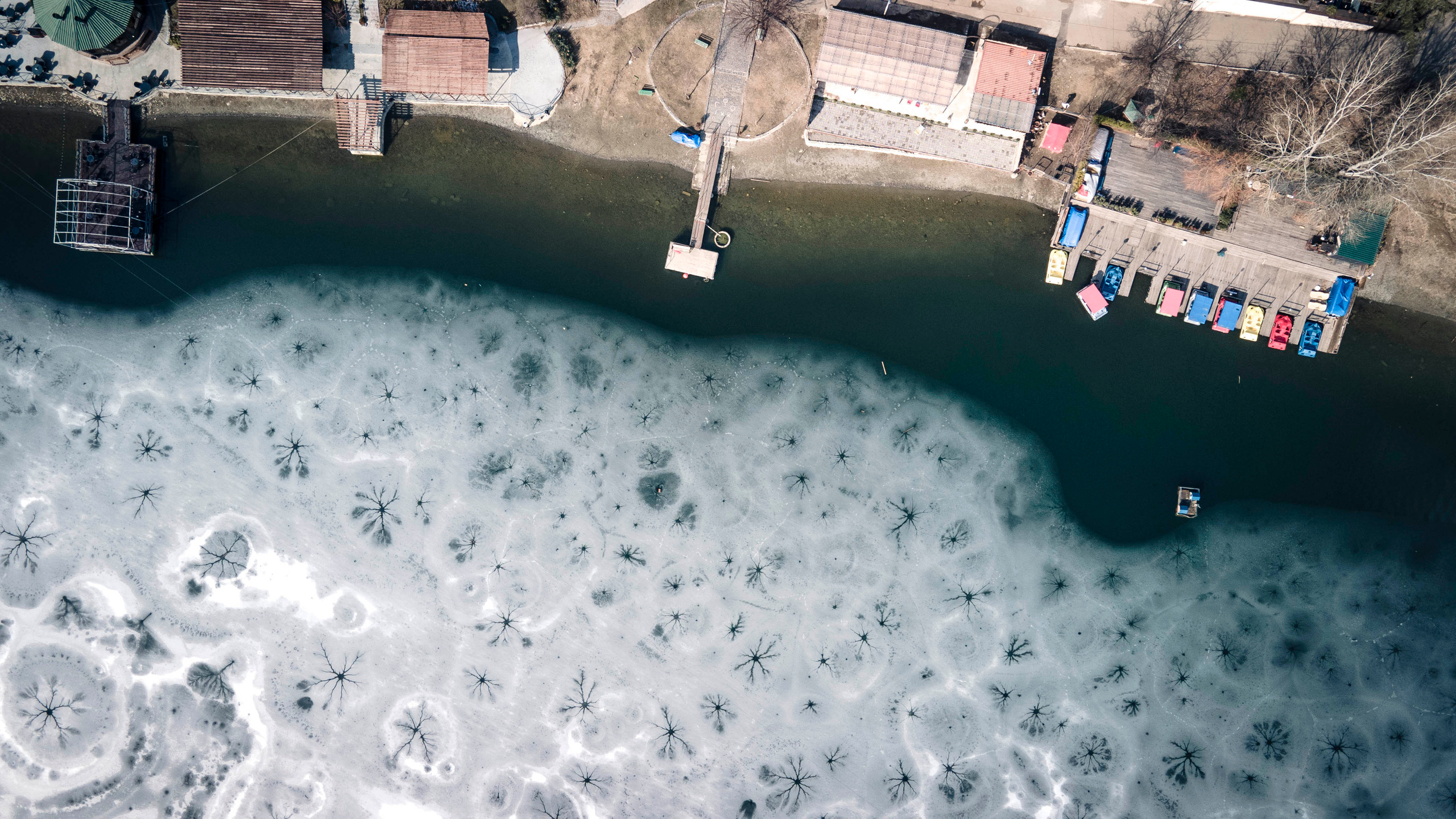Photographer in Tbilisi