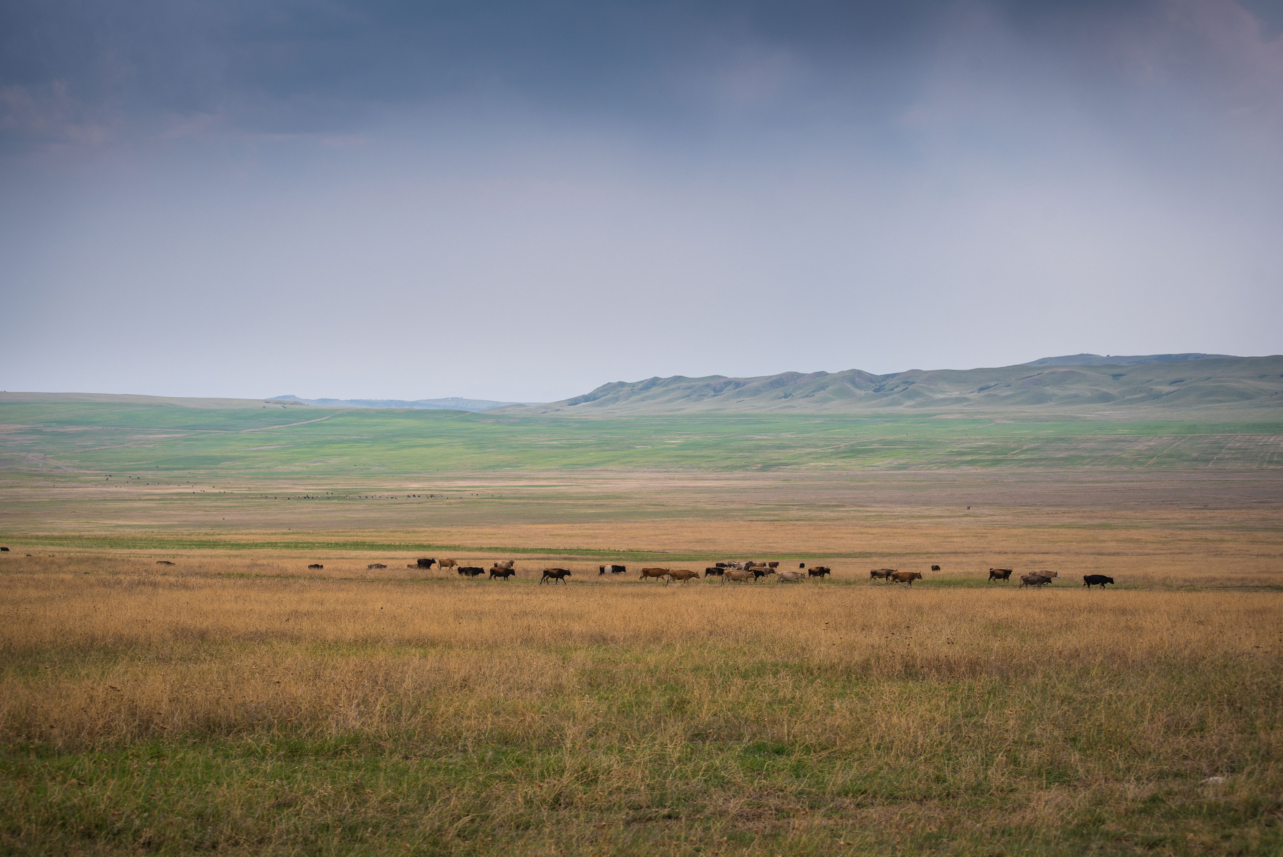 Landscapes. Photographer in Tbilisi