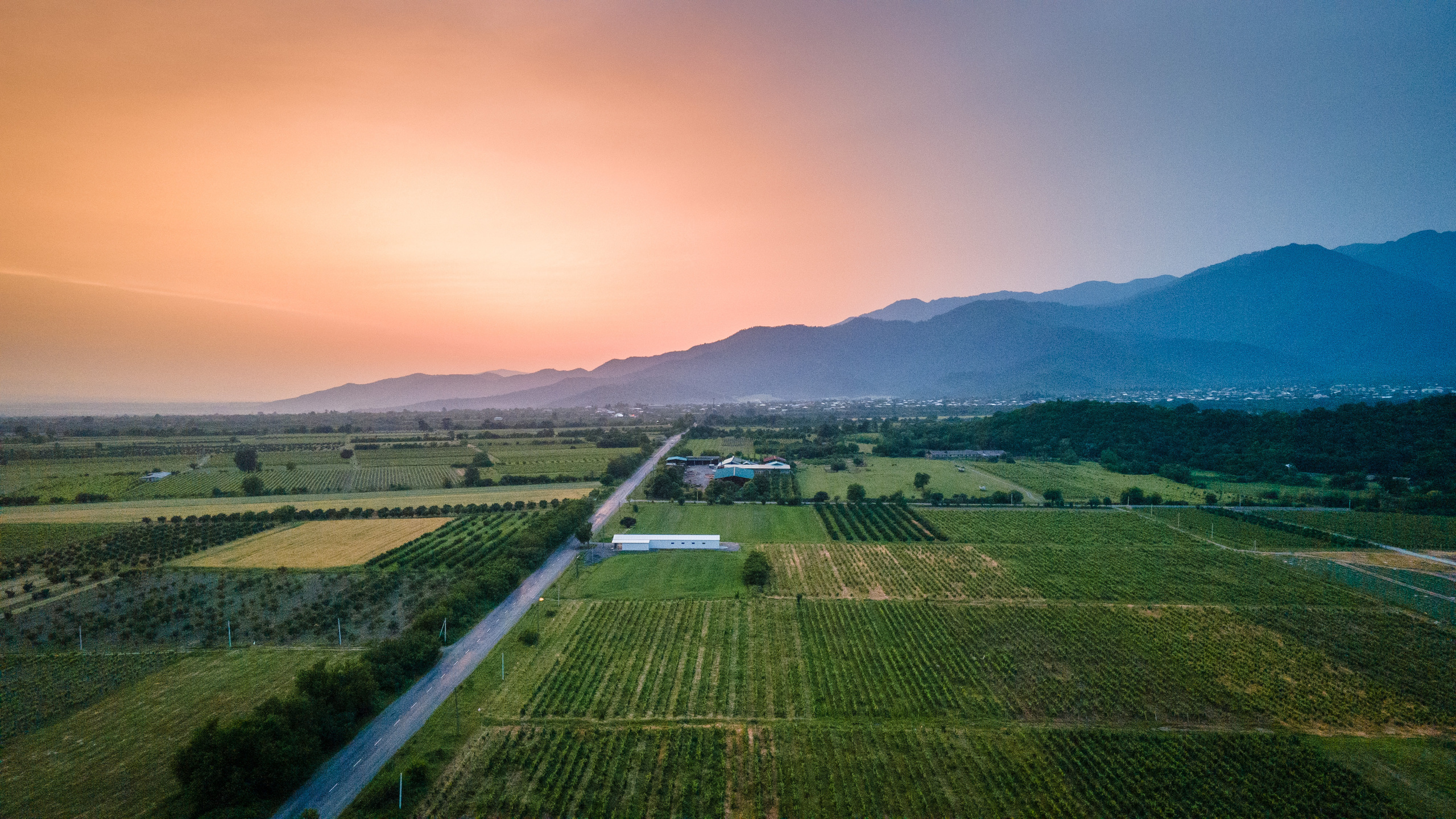 Photographer in Tbilisi