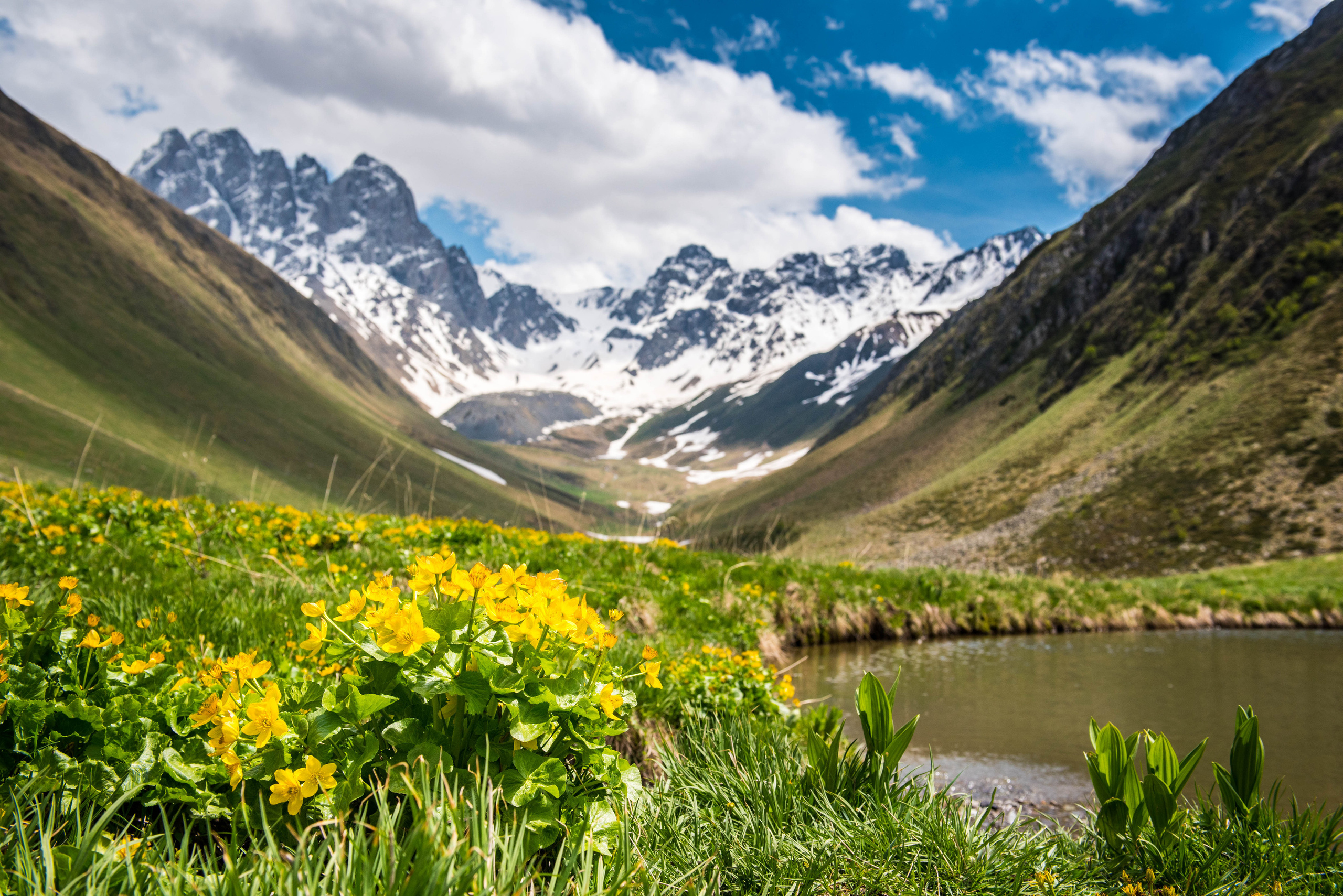 Landscapes. Photographer in Tbilisi