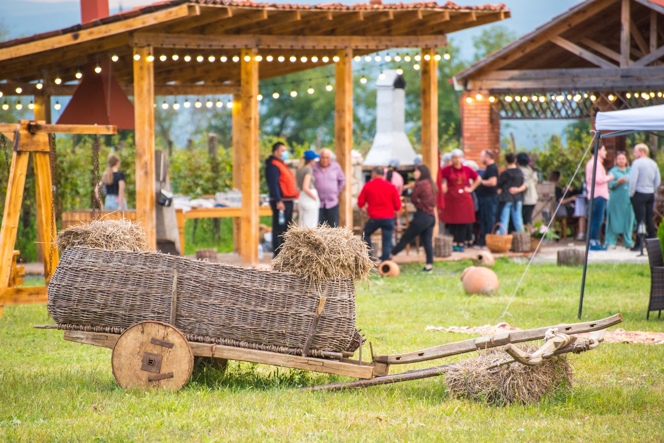 Event photography. Photographer in Tbilisi