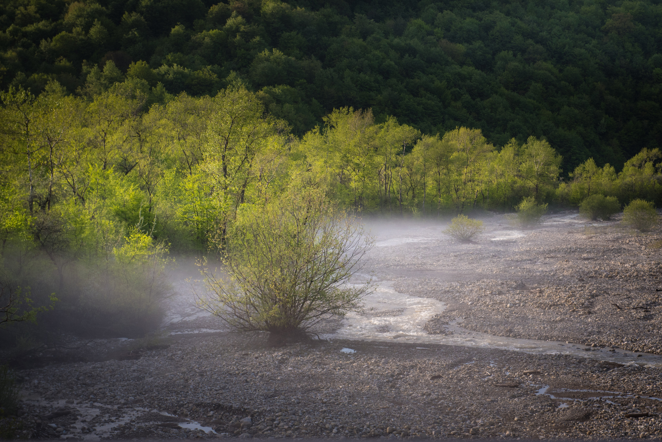 Landscapes. Photographer in Tbilisi
