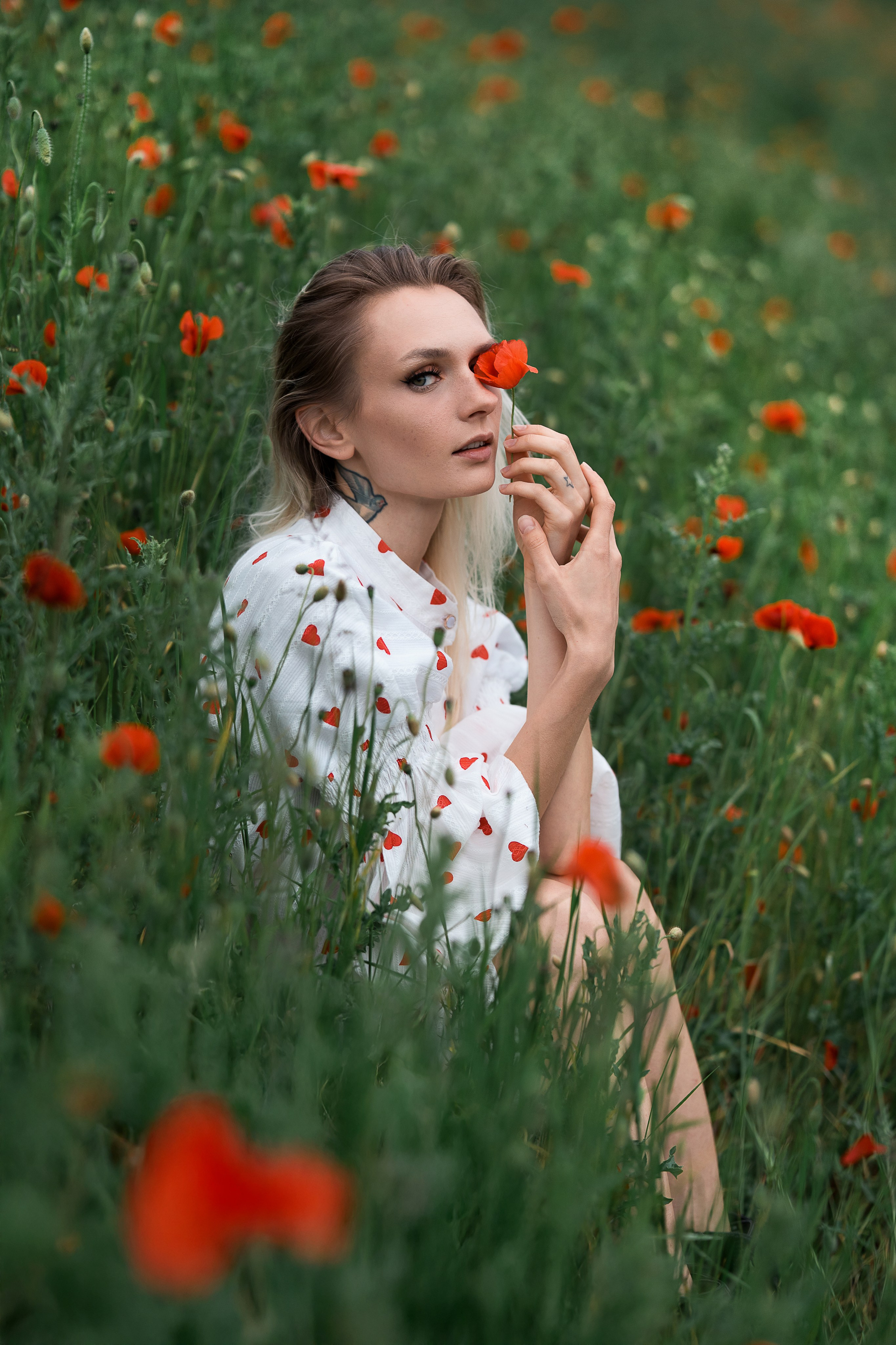 Mohnblumen. Pusteblumen. Familien, Lifestyle und Portrait Fotografin in Trier, Luxembourg