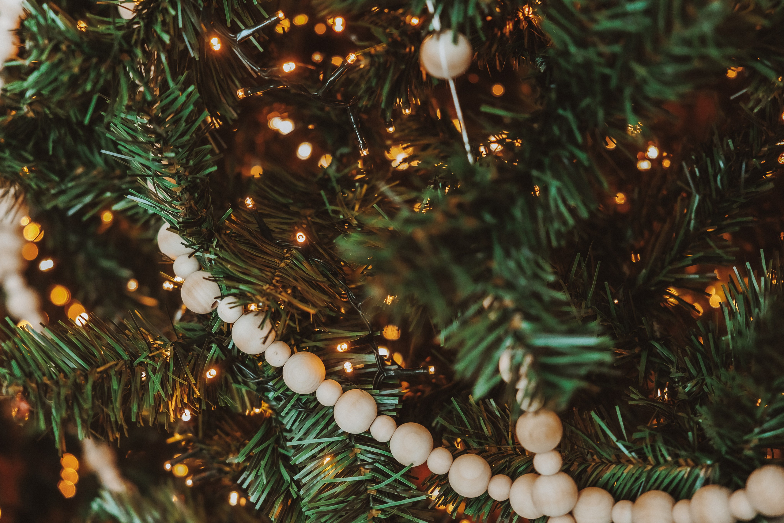 Декор 2023-24. Фотограф Ирина Йотова