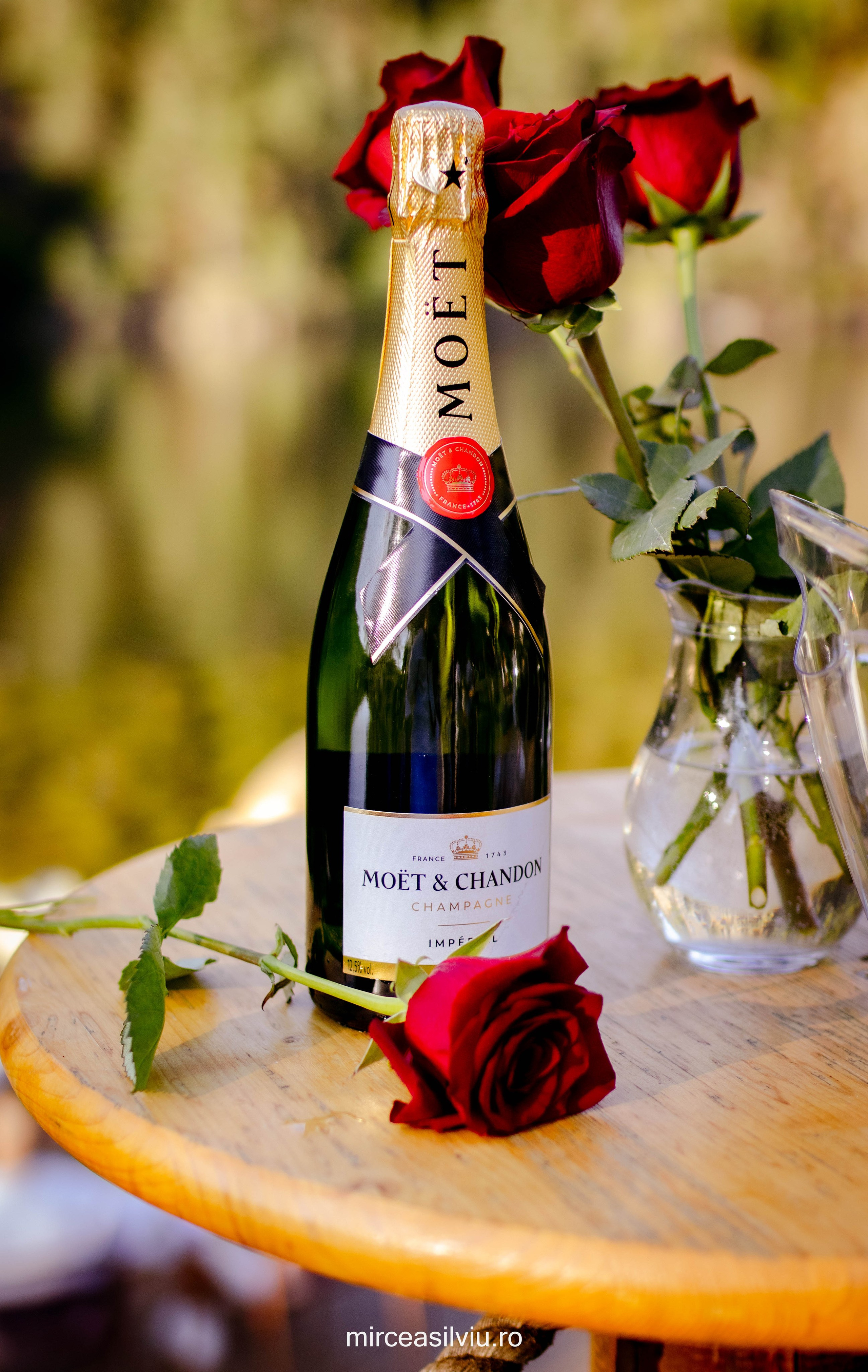 Fotograf de portrete și evenimente din Cluj-Napoca. Ședințe foto individuale, nunți, botezuri și aniversări în Cluj și județul Cluj