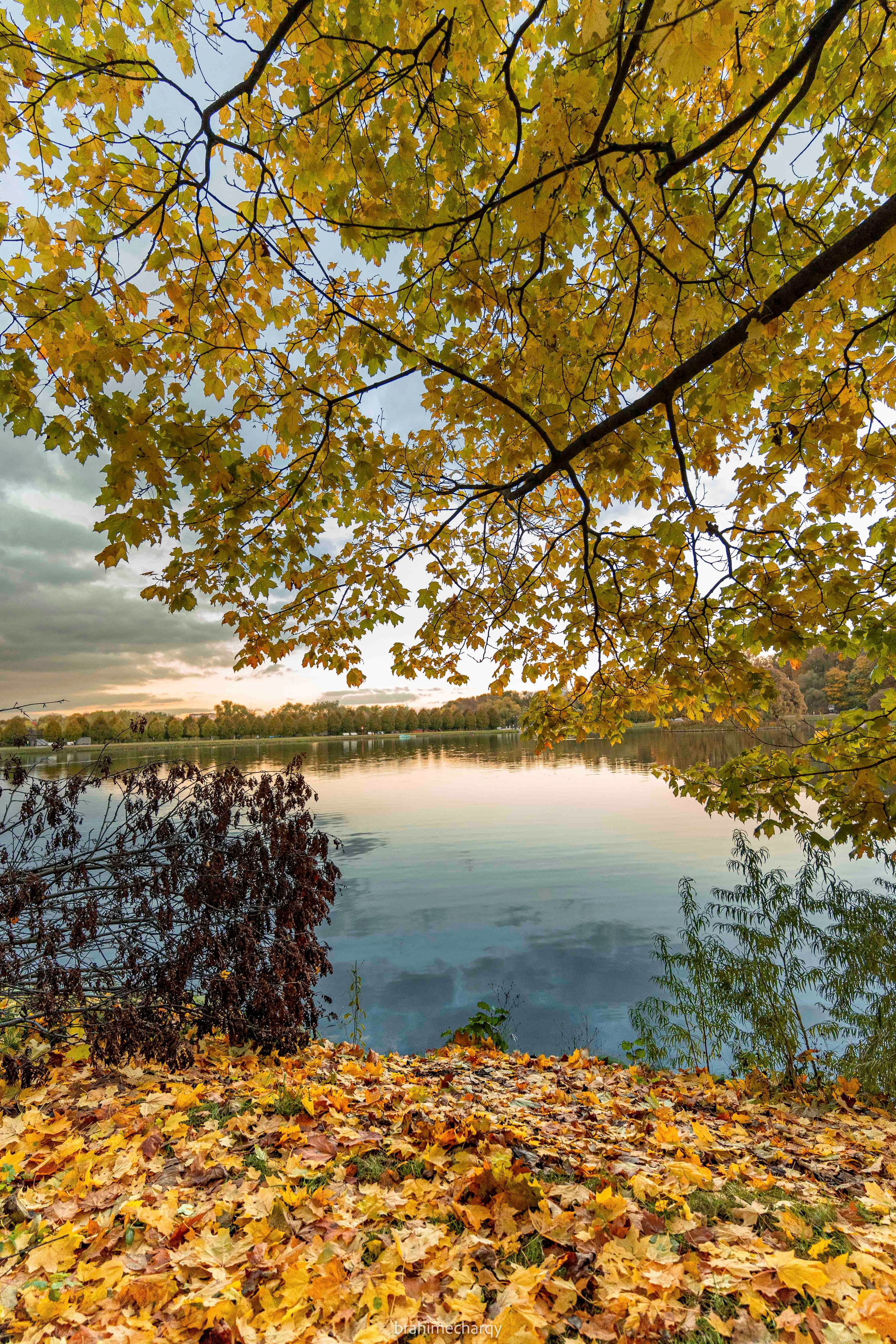 Фото. Брахим — фотограф