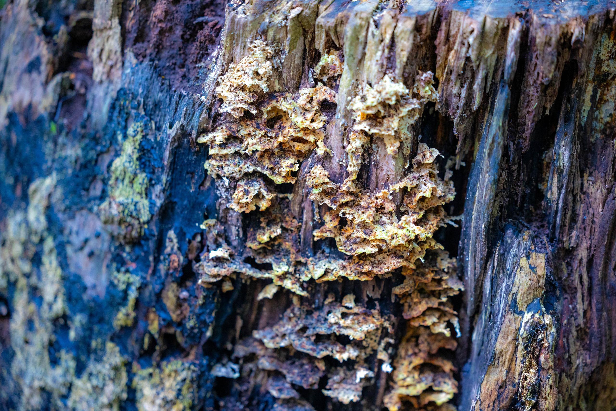 Efterår. Fotograf Aarhus | Portrætfoto Århus | Flotte billeder