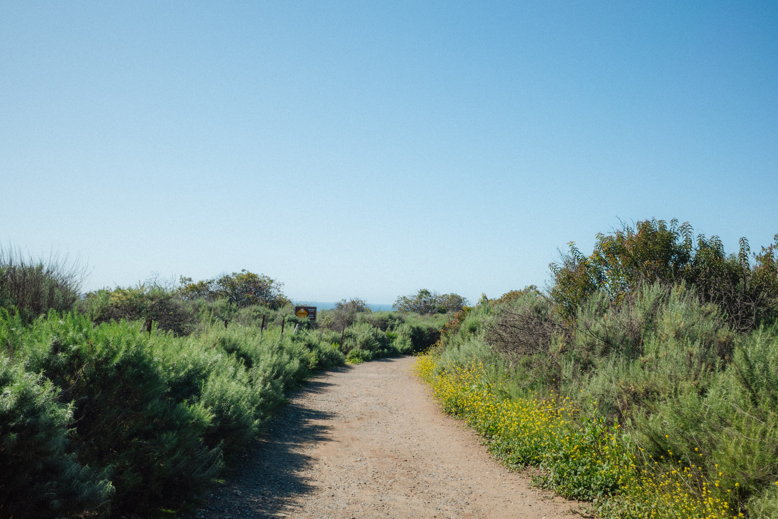 Los Angeles. Aleks.photo | Book a photoshoot