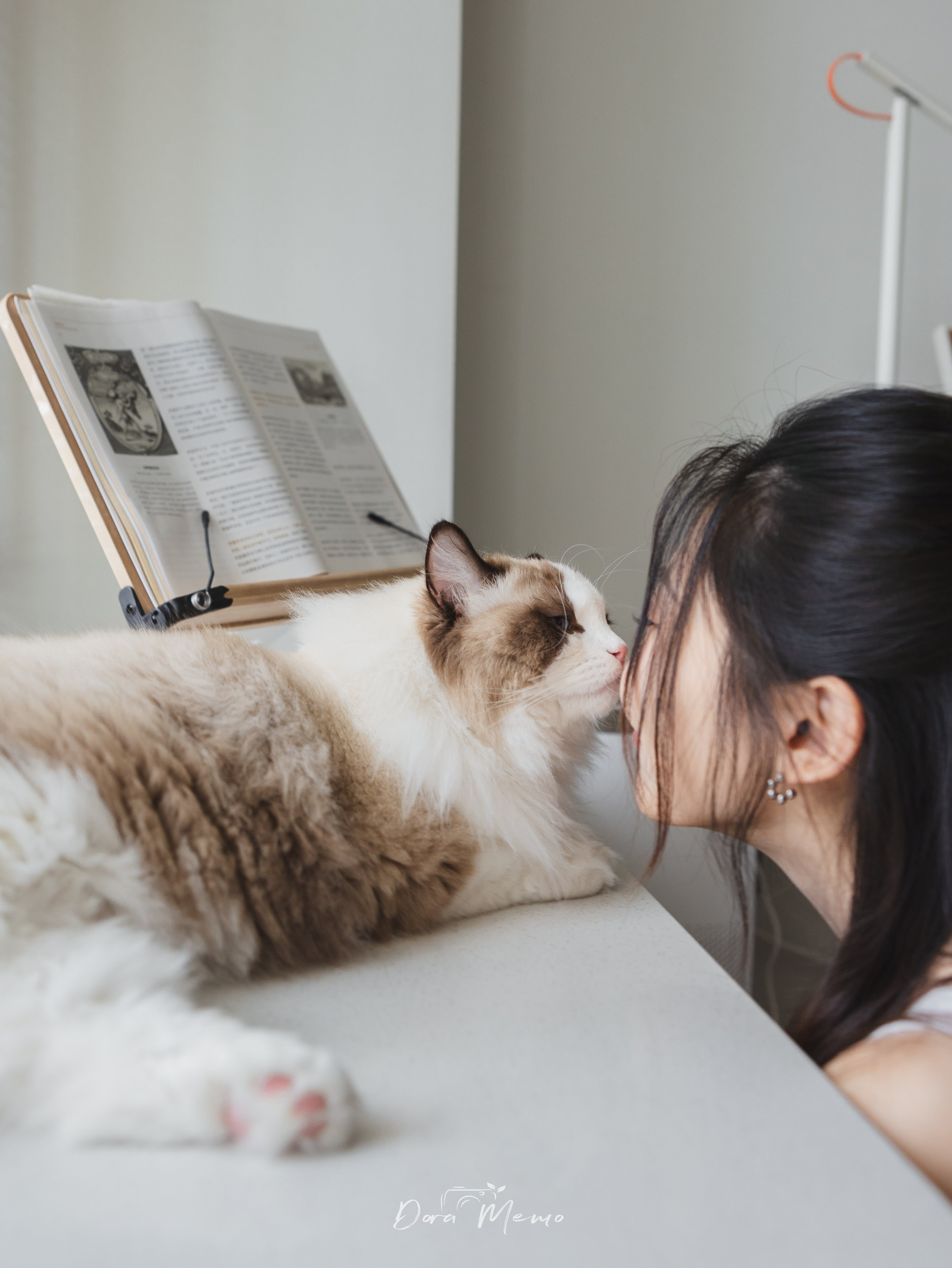 In Gentle Sunlight, Just Her and Her Cat — Perfectly Enough. Shanghai Family Photographer Dora