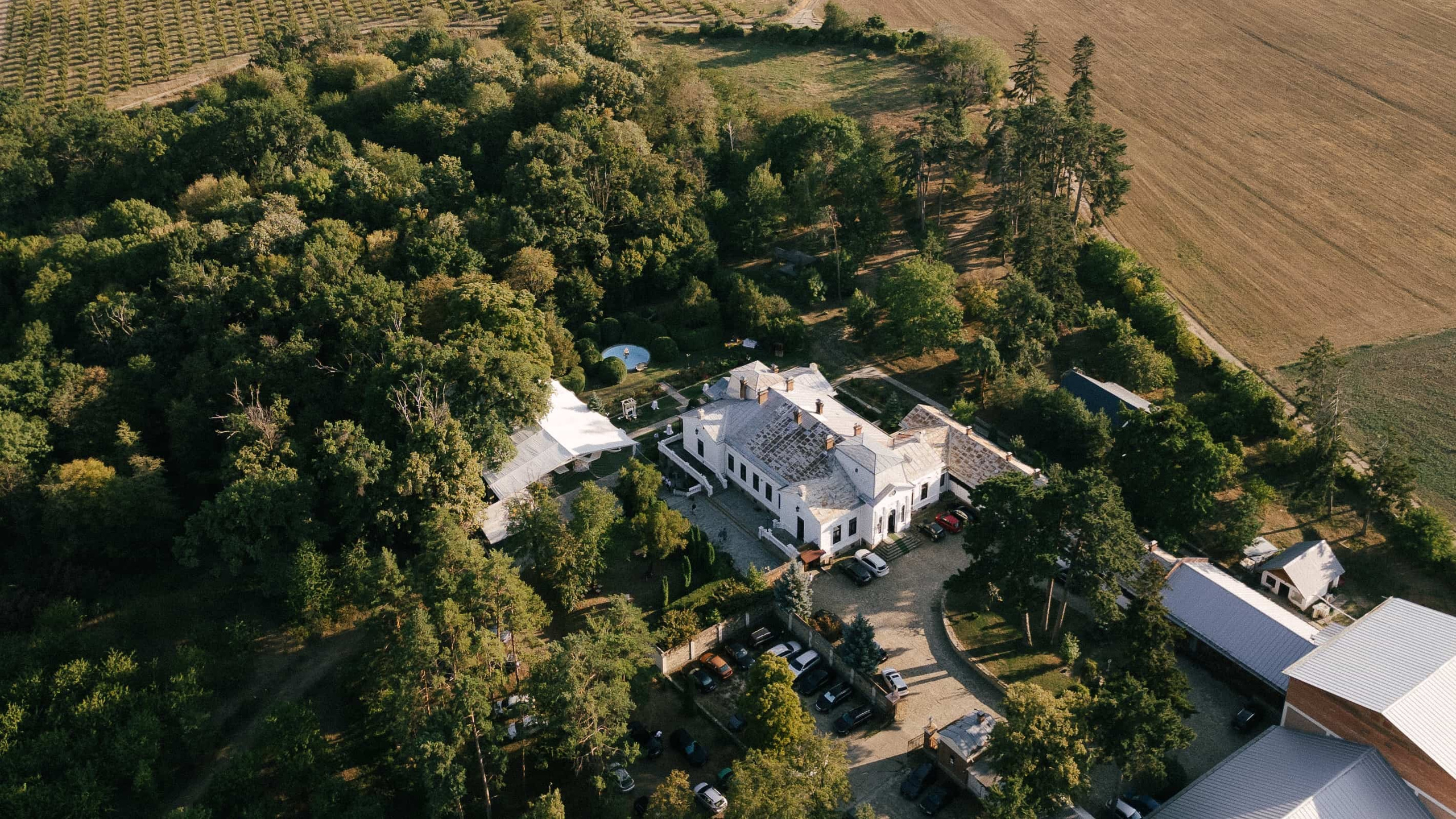 Andreea & Alex | wedding day