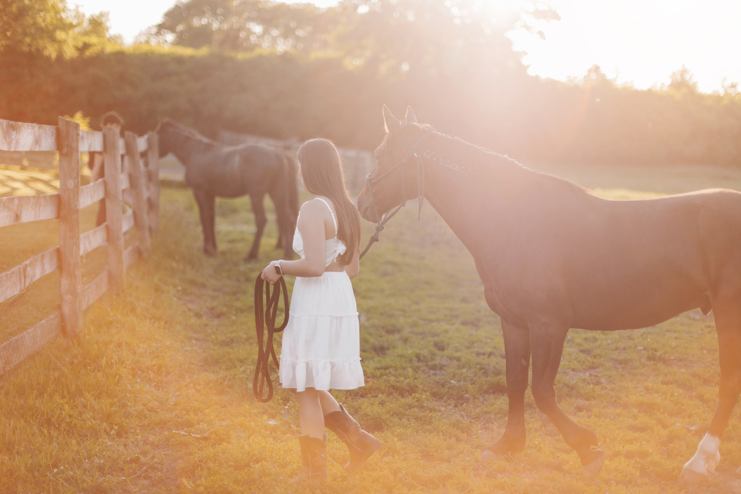 30.05.24 Family Photoshoot. Wedding family event photographer in Chicago Nick Yushevich