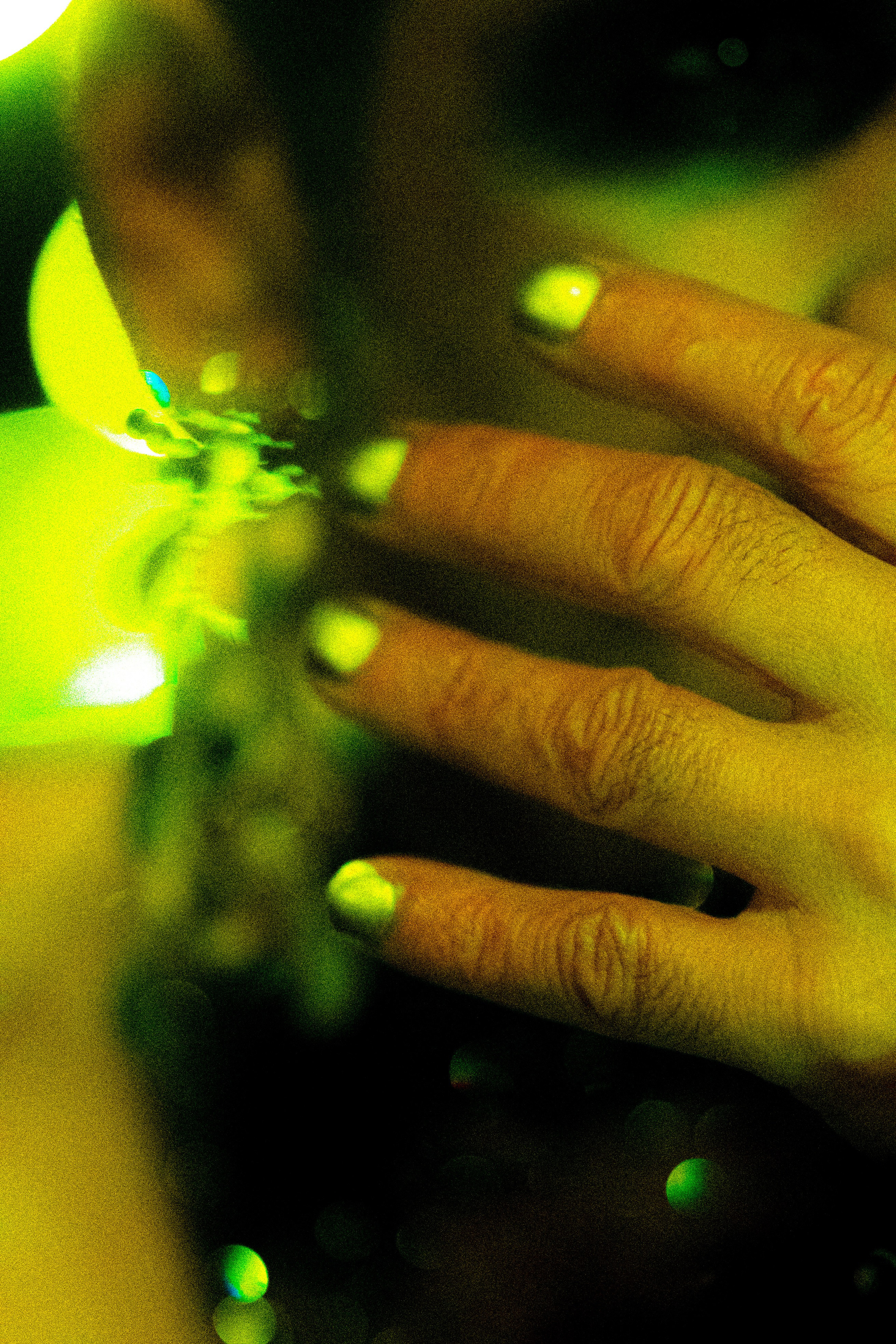 CHARLES　PROJECT. Anna Miyauchi