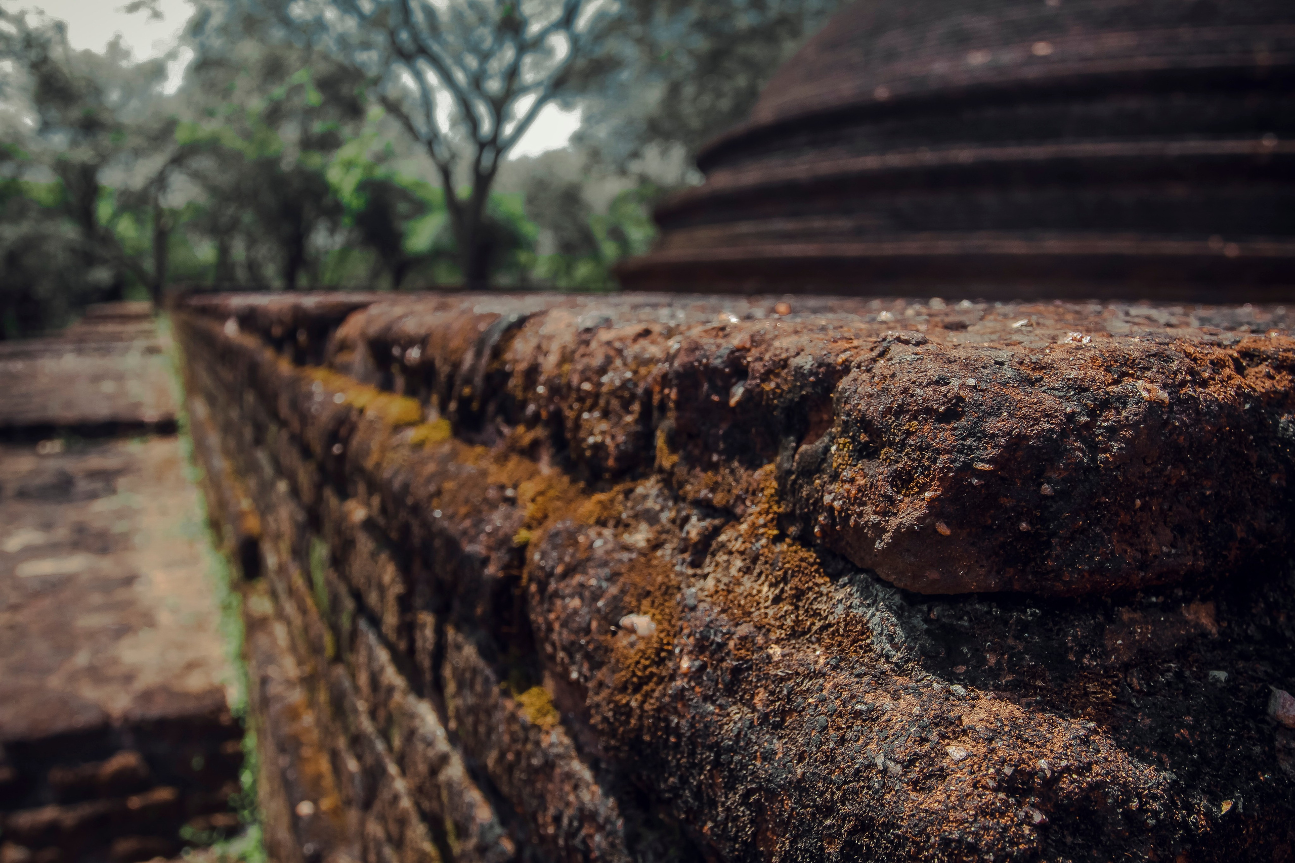 Sri Lanka. Art Photographer