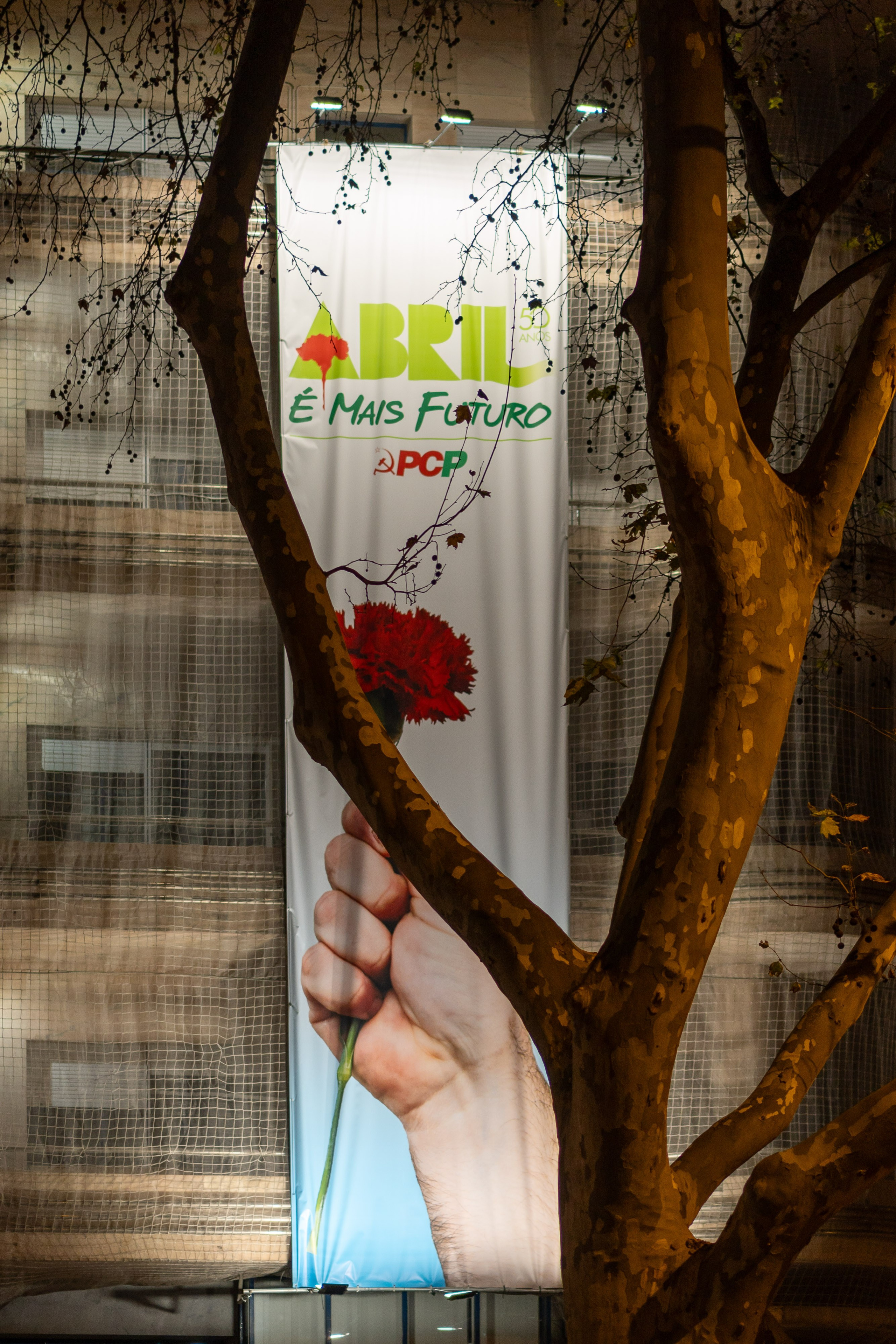 Lisabona 2025. Fotografiideplacere.net