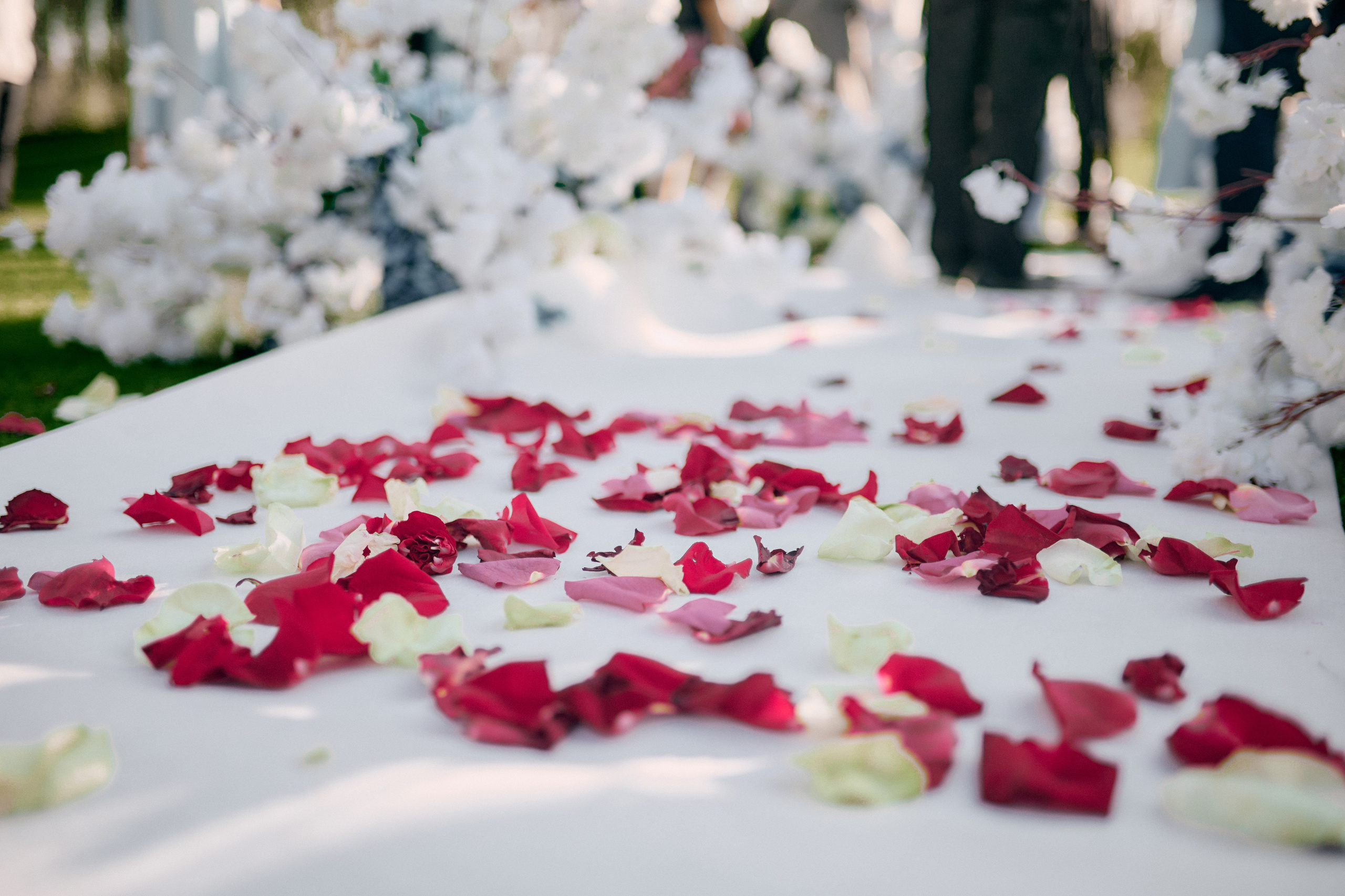 лепестки роз на свадьбе