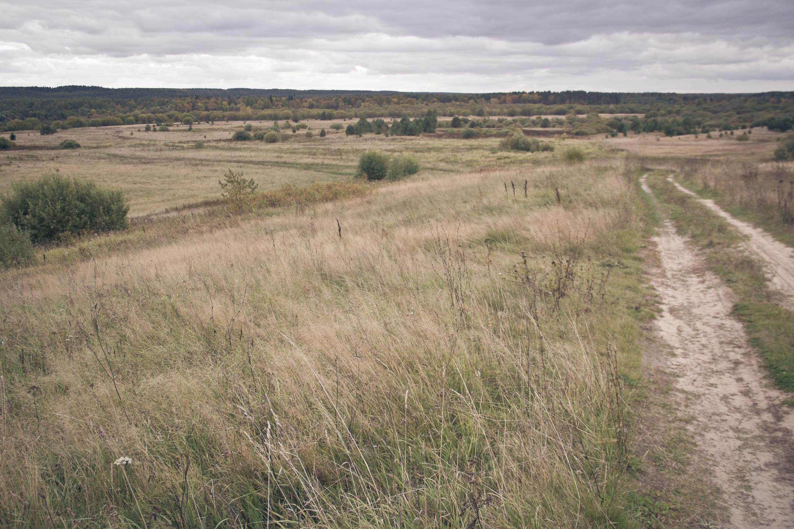 Verlassenes Russland: Manturowo im Gebiet Kostroma. Maria Chistyakovа — Fotografin in Karlsruhe, Baden-Baden und Umgebung
