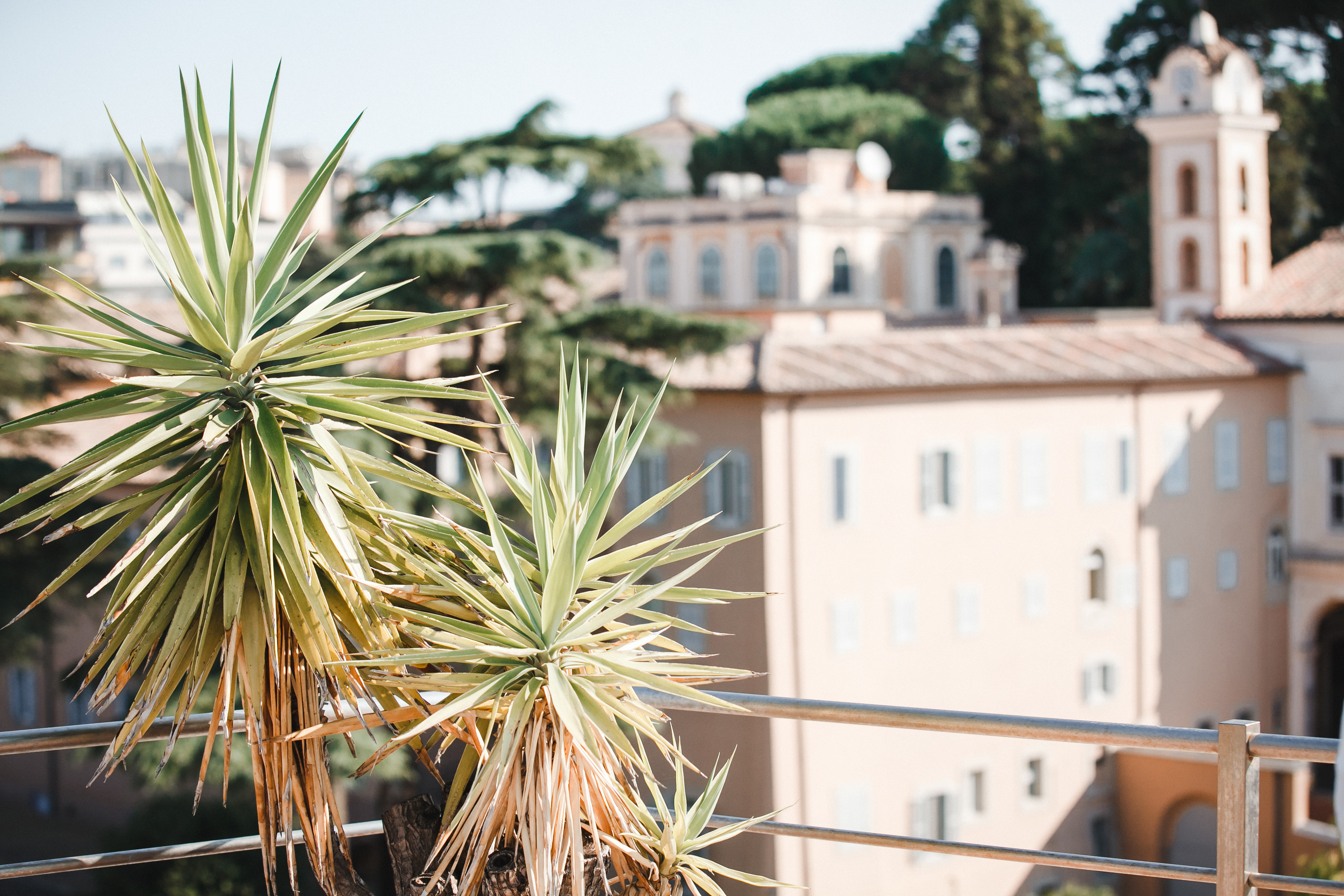 Trevi Fountain & Spanish steps Wedding Photowalk. Rome Penthouse Ceremony. Iurkovski PHOTOGRAPHY in Europe. Luxury destination weddings and events