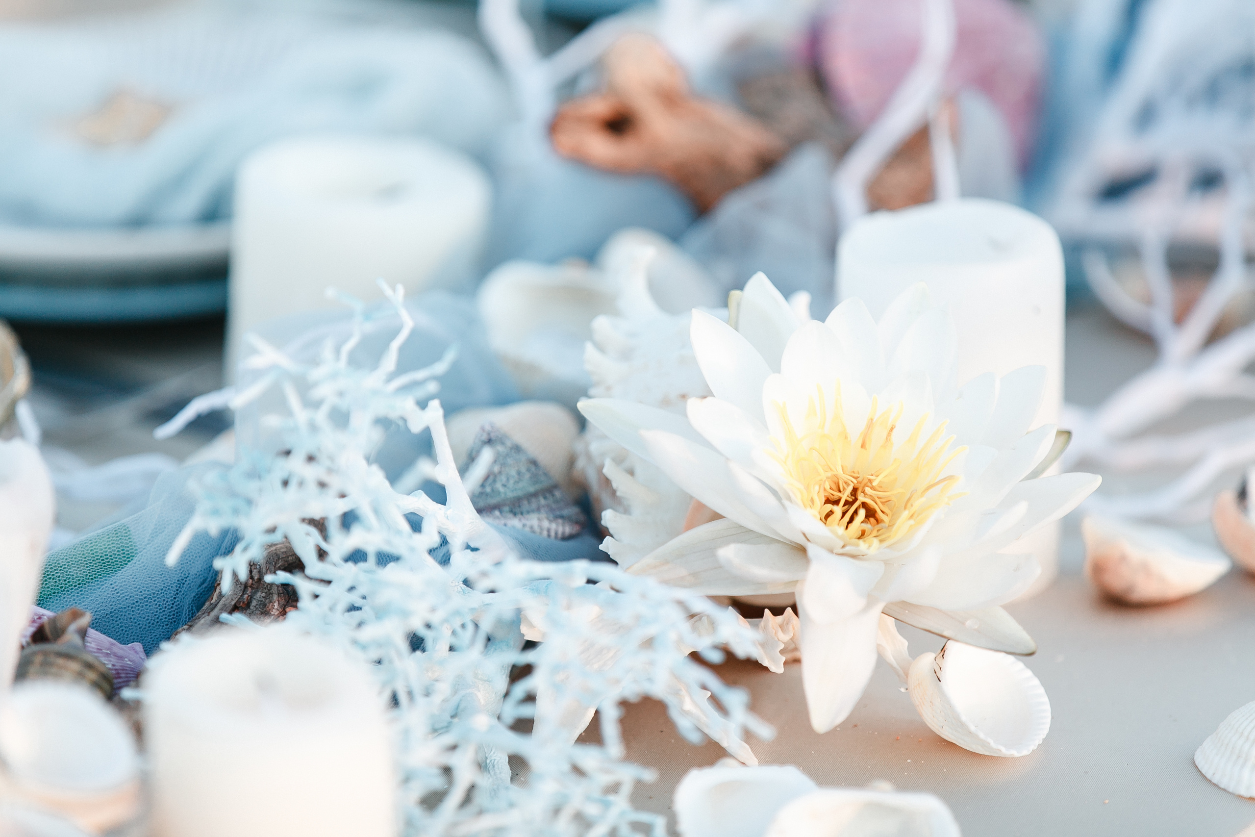 Beach wedding ceremony. Iurkovski PHOTOGRAPHY in Europe. Luxury destination weddings and events