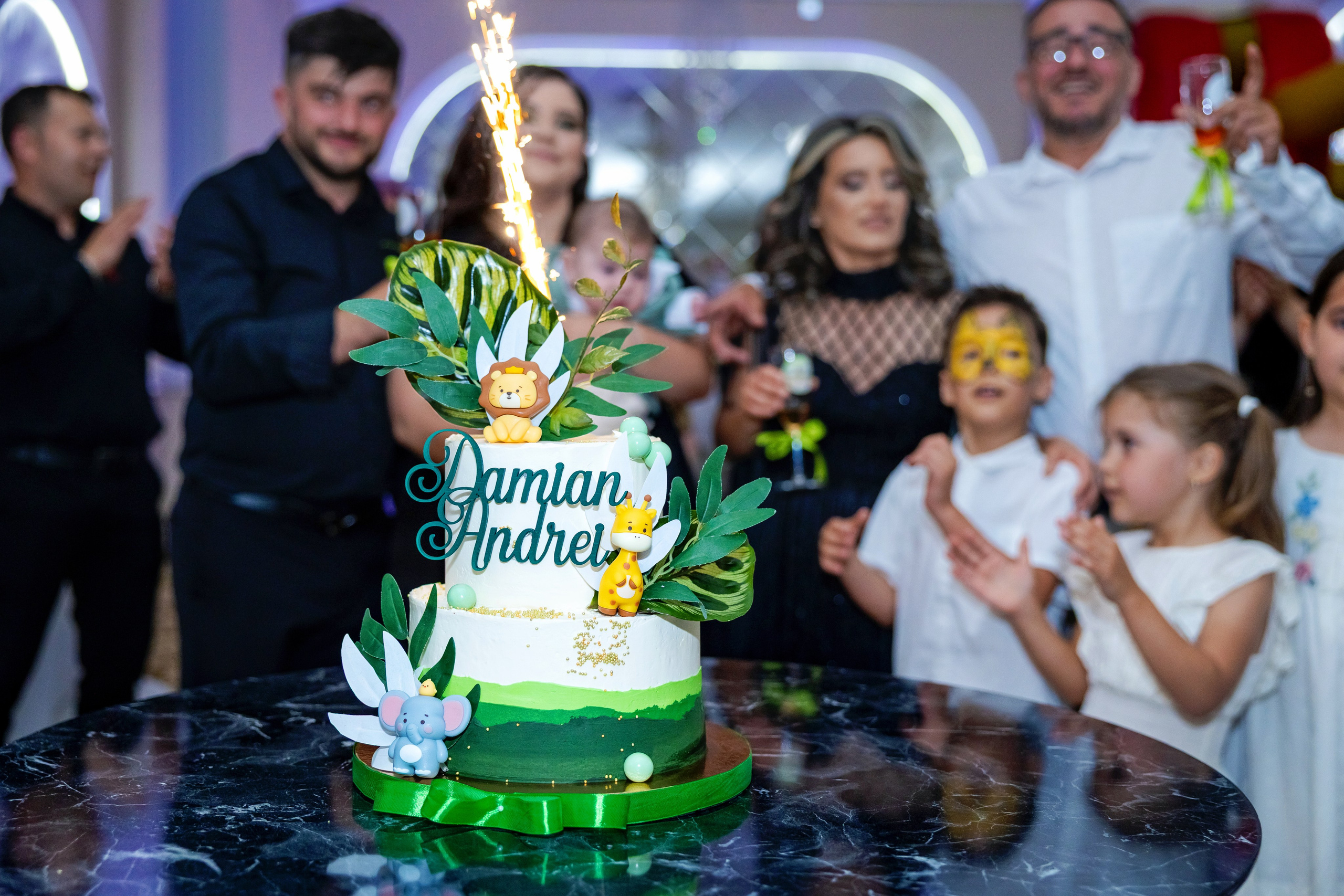 Andrei Damian. Moments By Gub