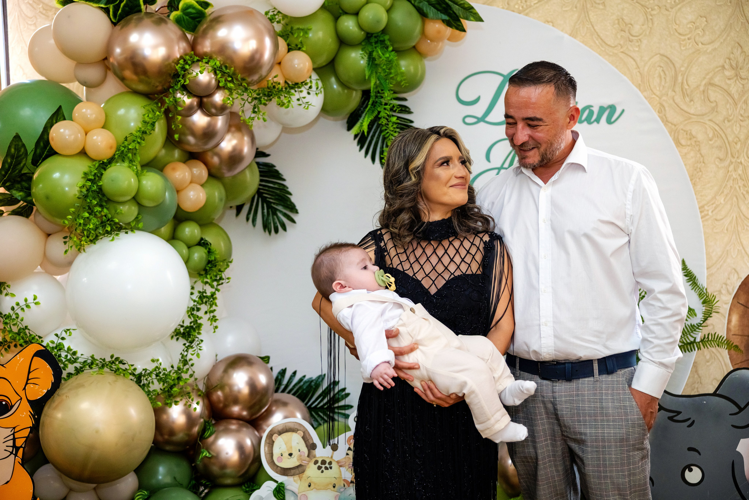 Andrei Damian. Moments By Gub