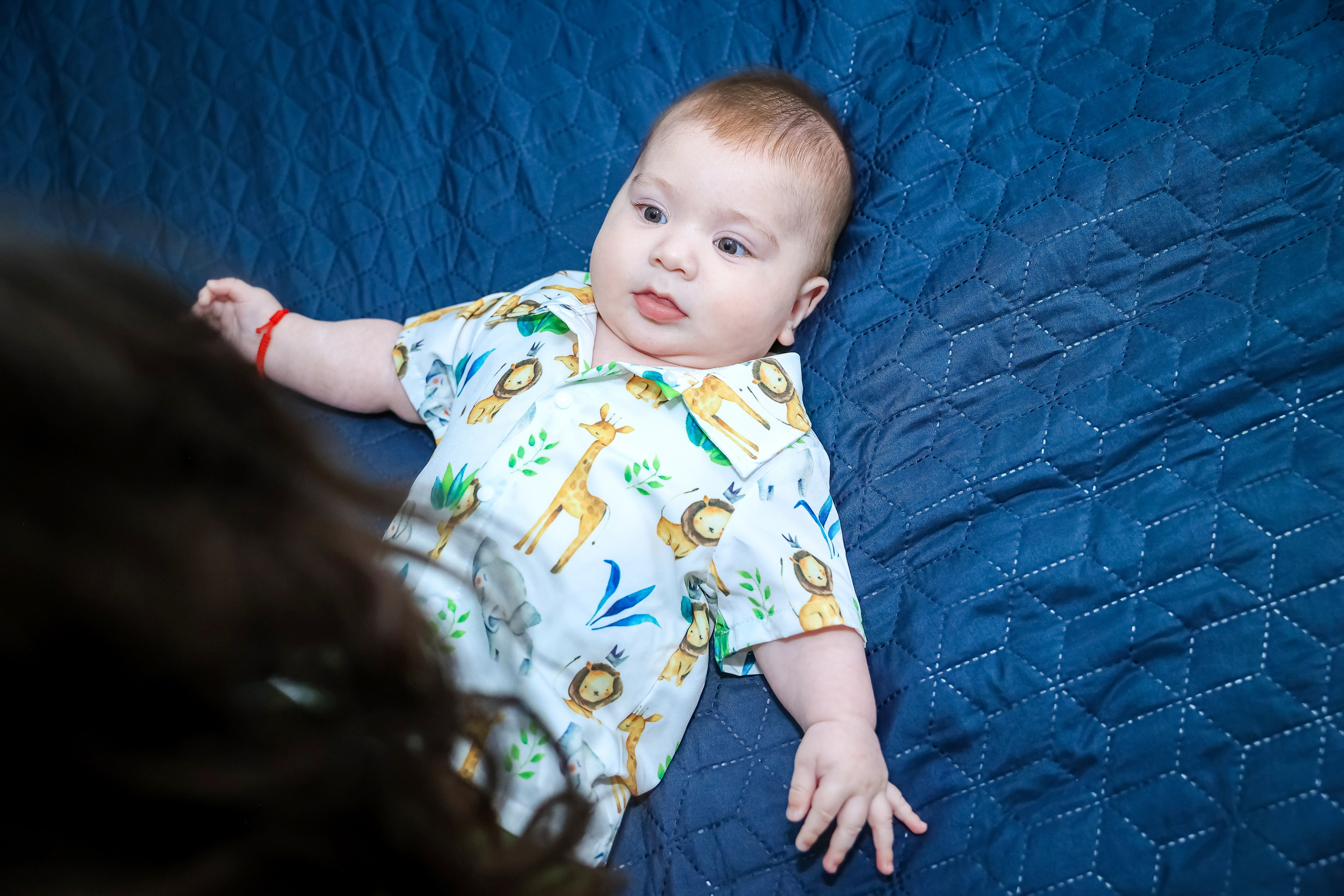 Andrei Damian. Moments By Gub