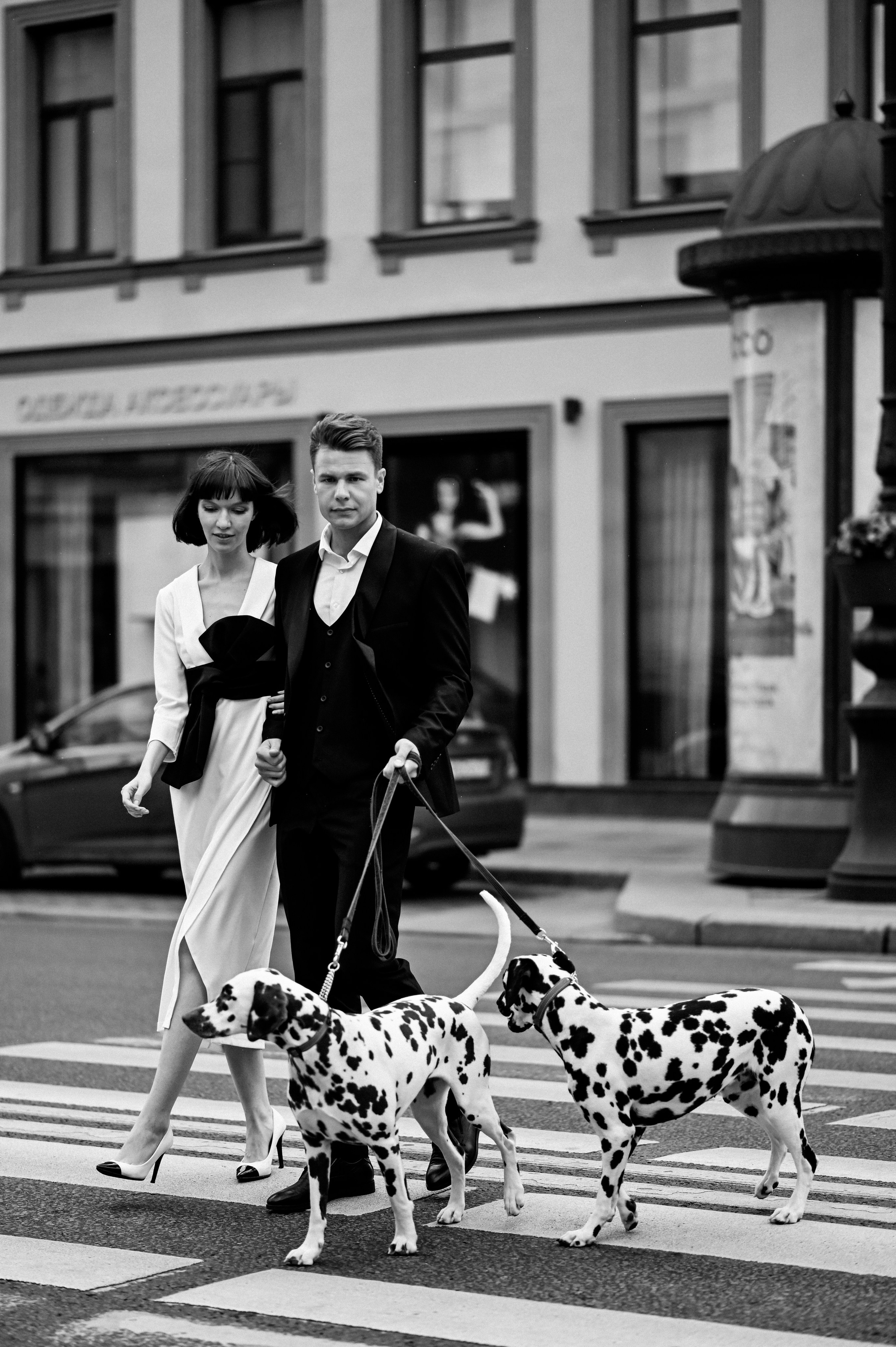 История с далматинцами. Детский и семейный фотограф в финляндии дина пулкка. контент фотограф