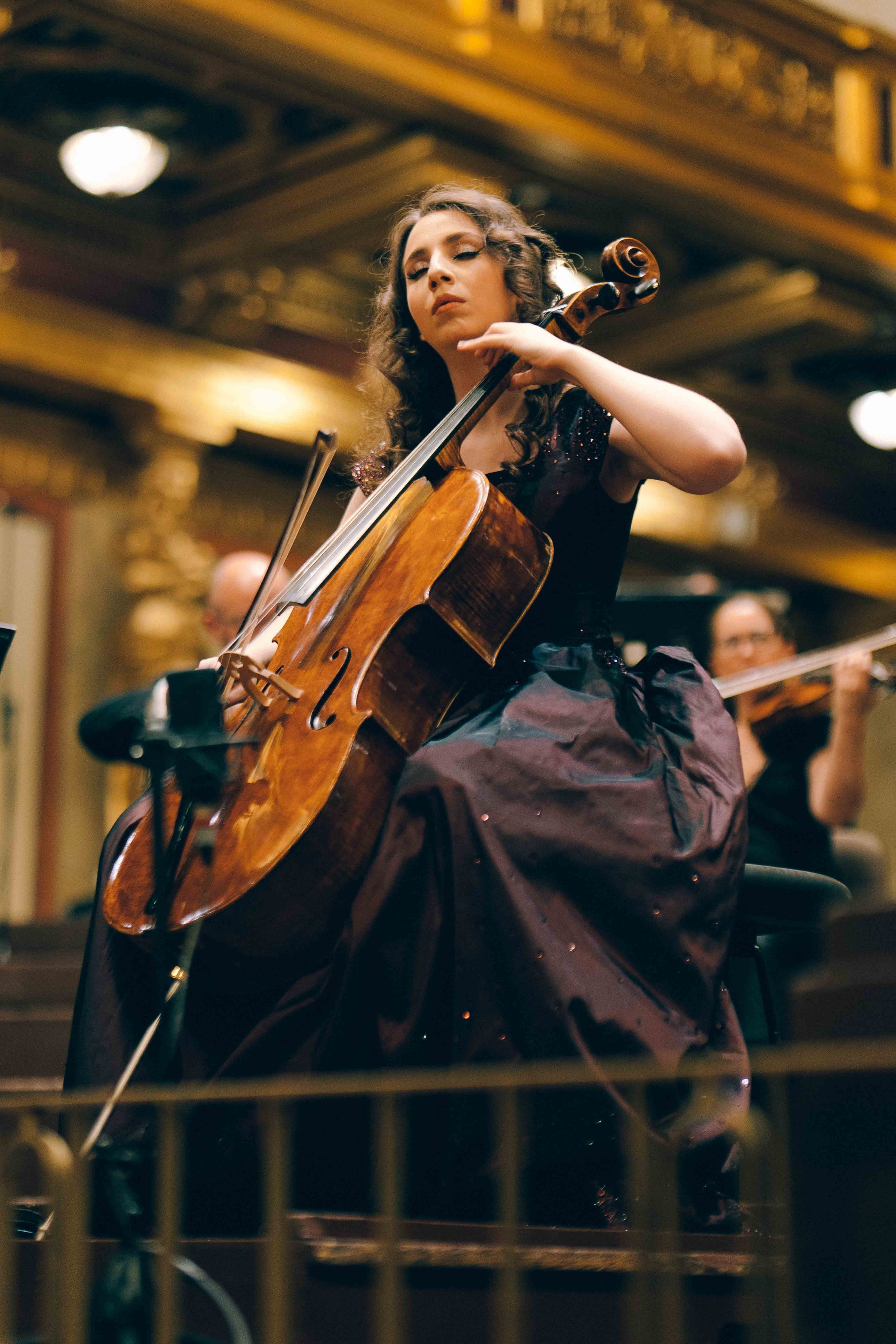 MUSIKVEREIN (VIENNA). Wedding&Event photographer Ismail Rzayev in Baku