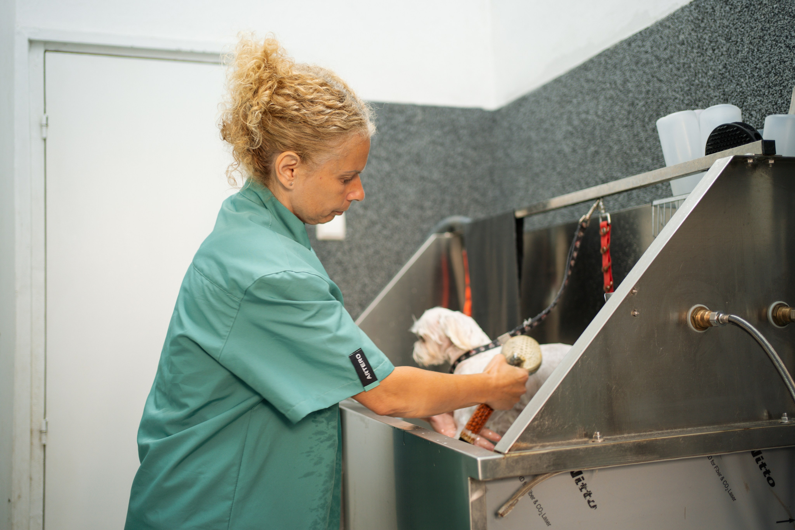 PetGroom Timisoara. Cozac Cristian Photographer
