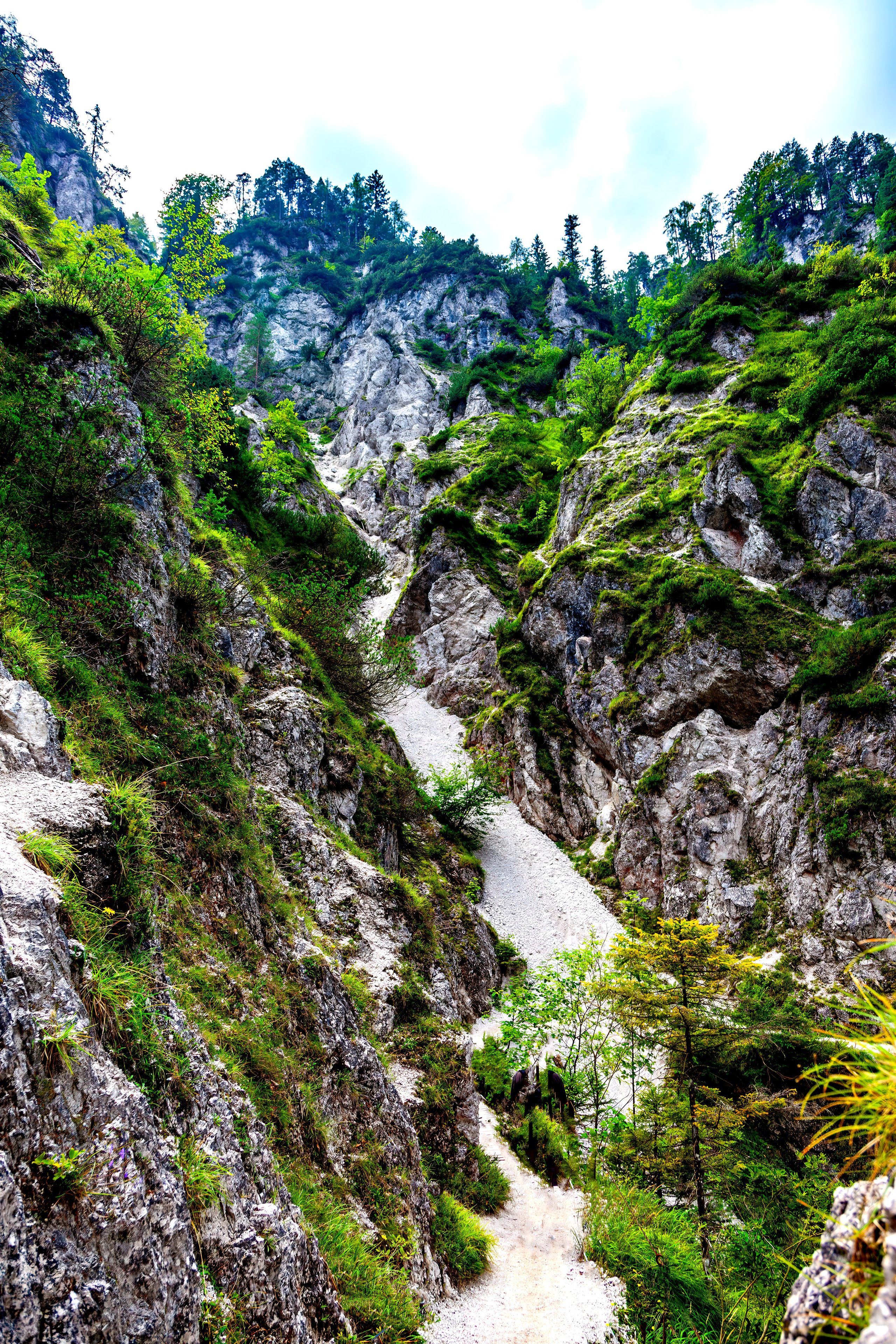 197.Ötscher Base Nature Park.Austria.21.8.2025. Путешествия в формате 360......