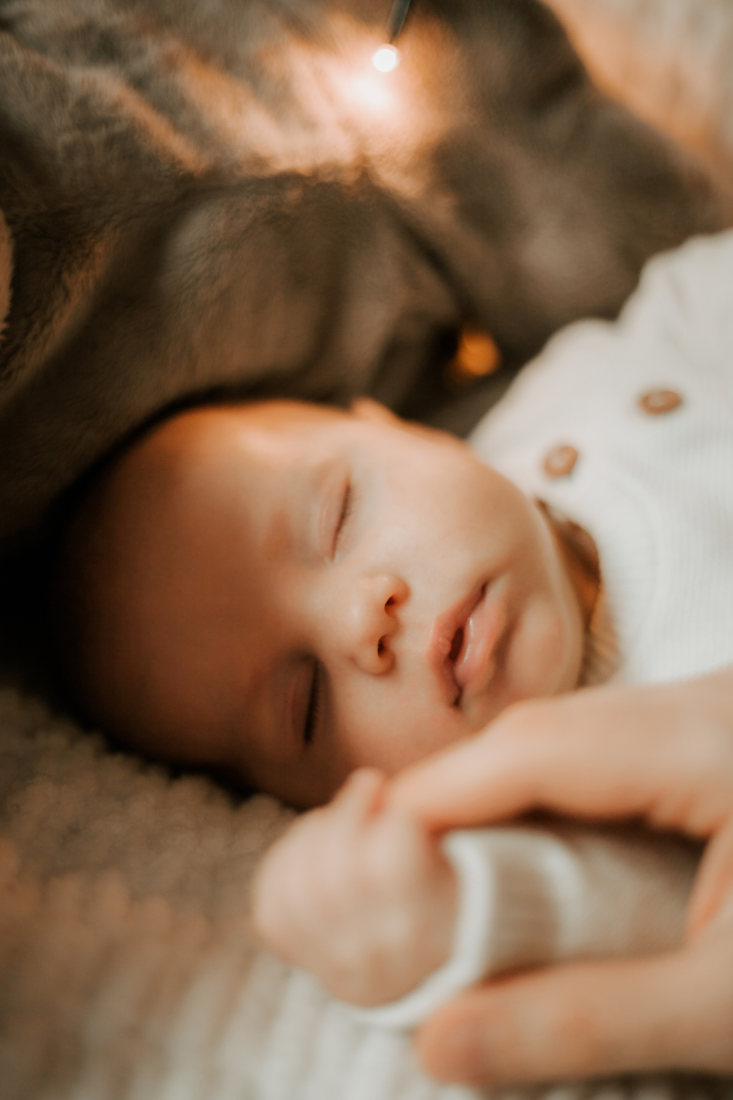 Newborn. Lara Ilin Photography