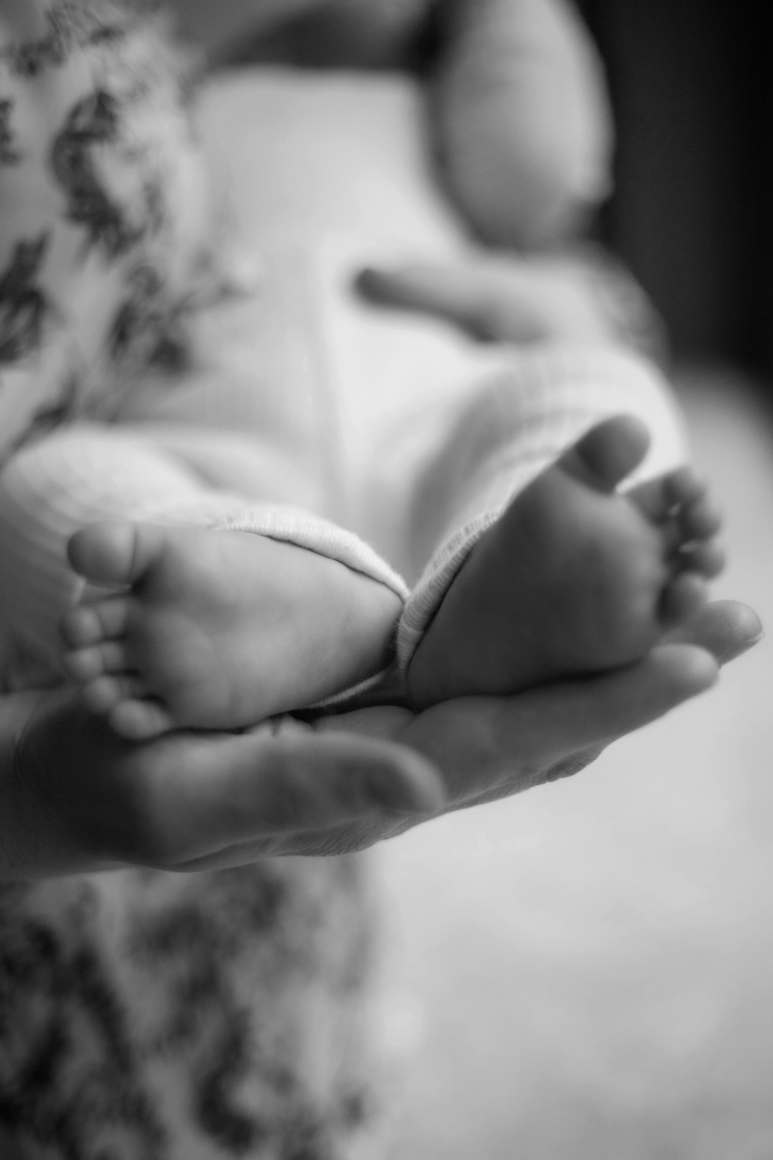 Newborn. Lara Ilin Photography