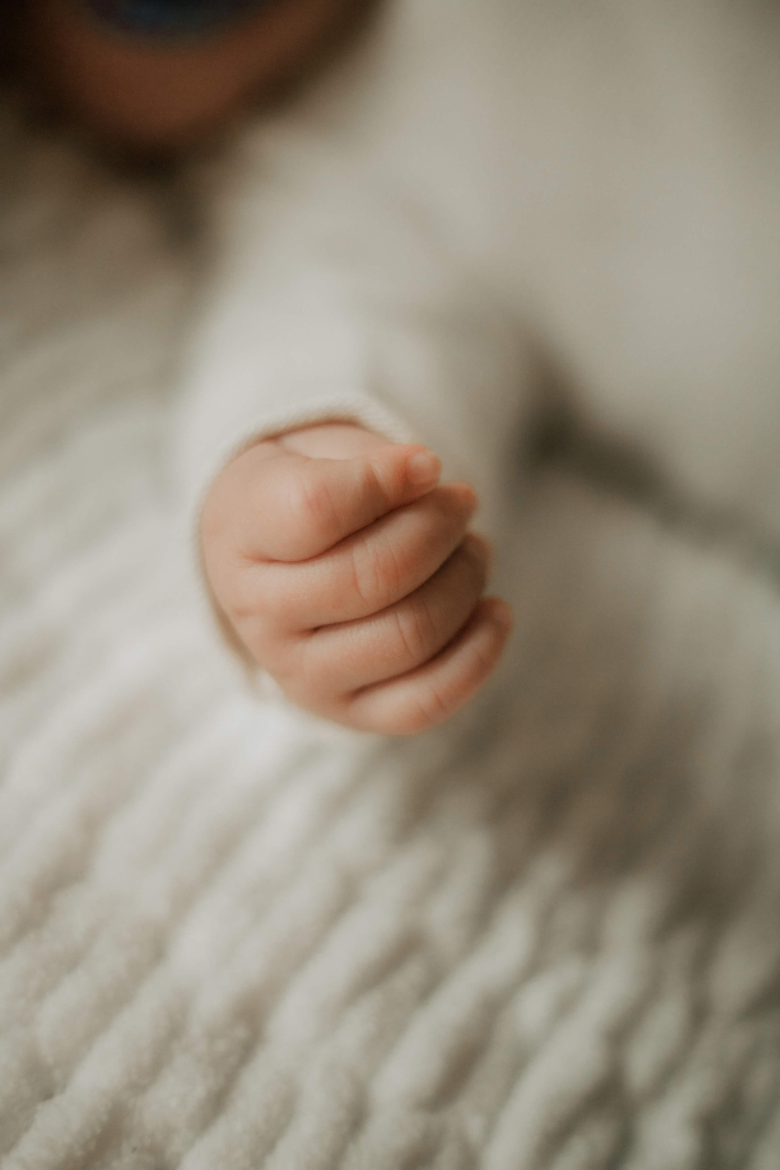 Newborn. Lara Ilin Photography