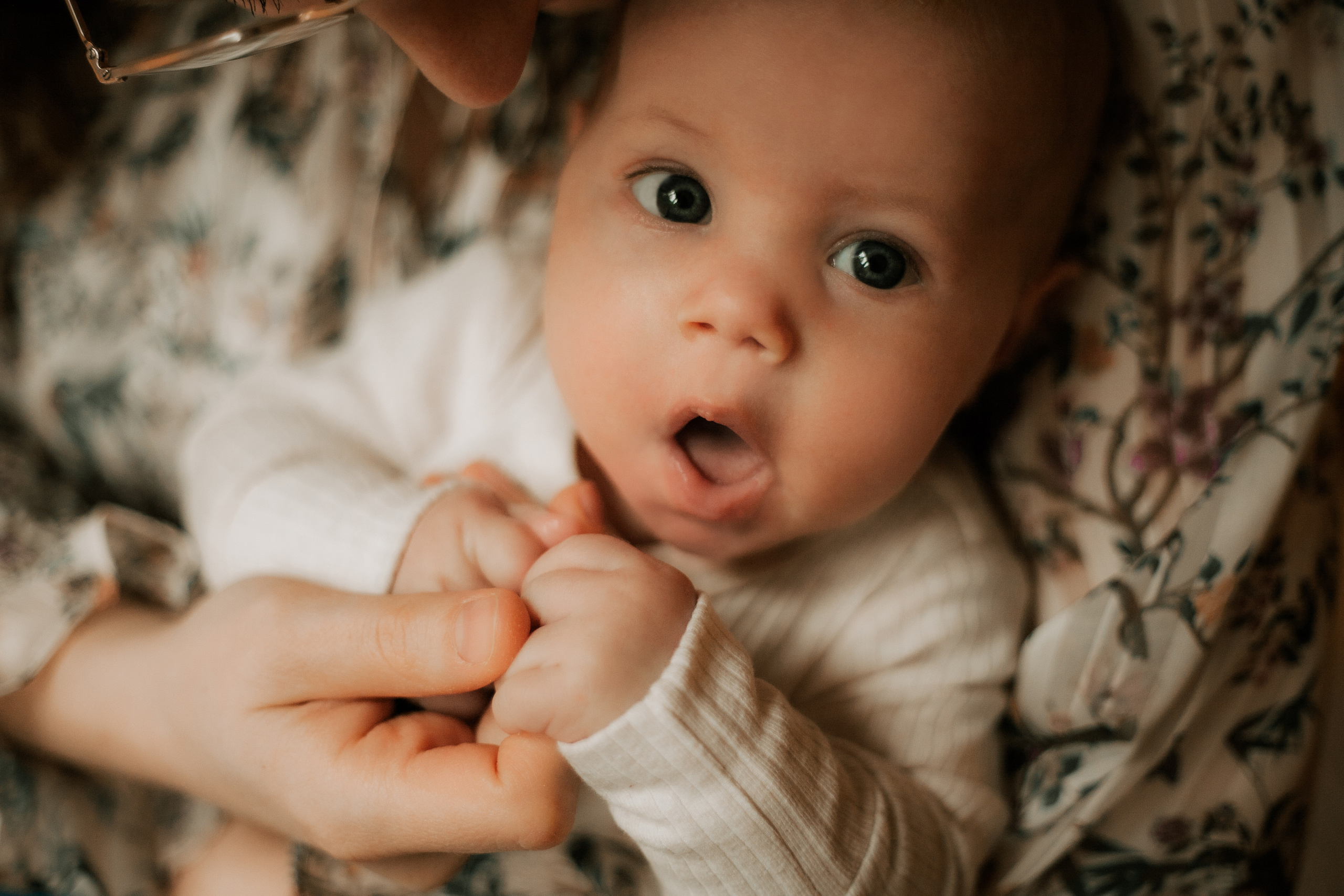 Newborn. Lara Ilin Photography