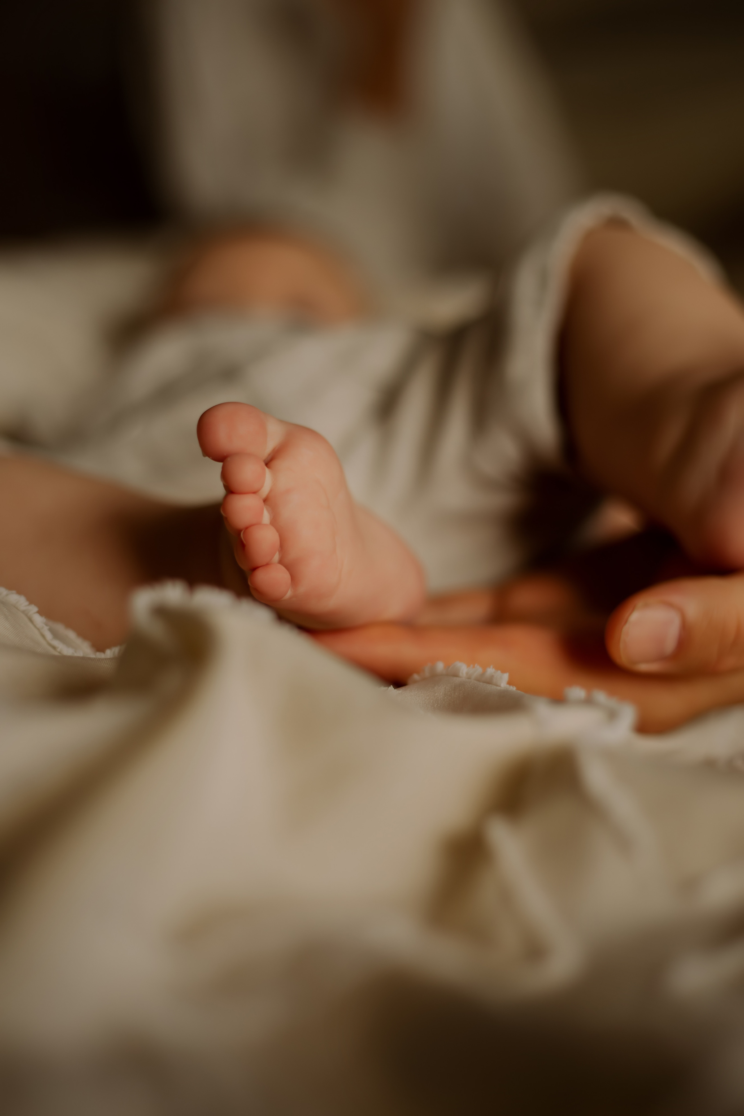 Newborn. Lara Ilin Photography