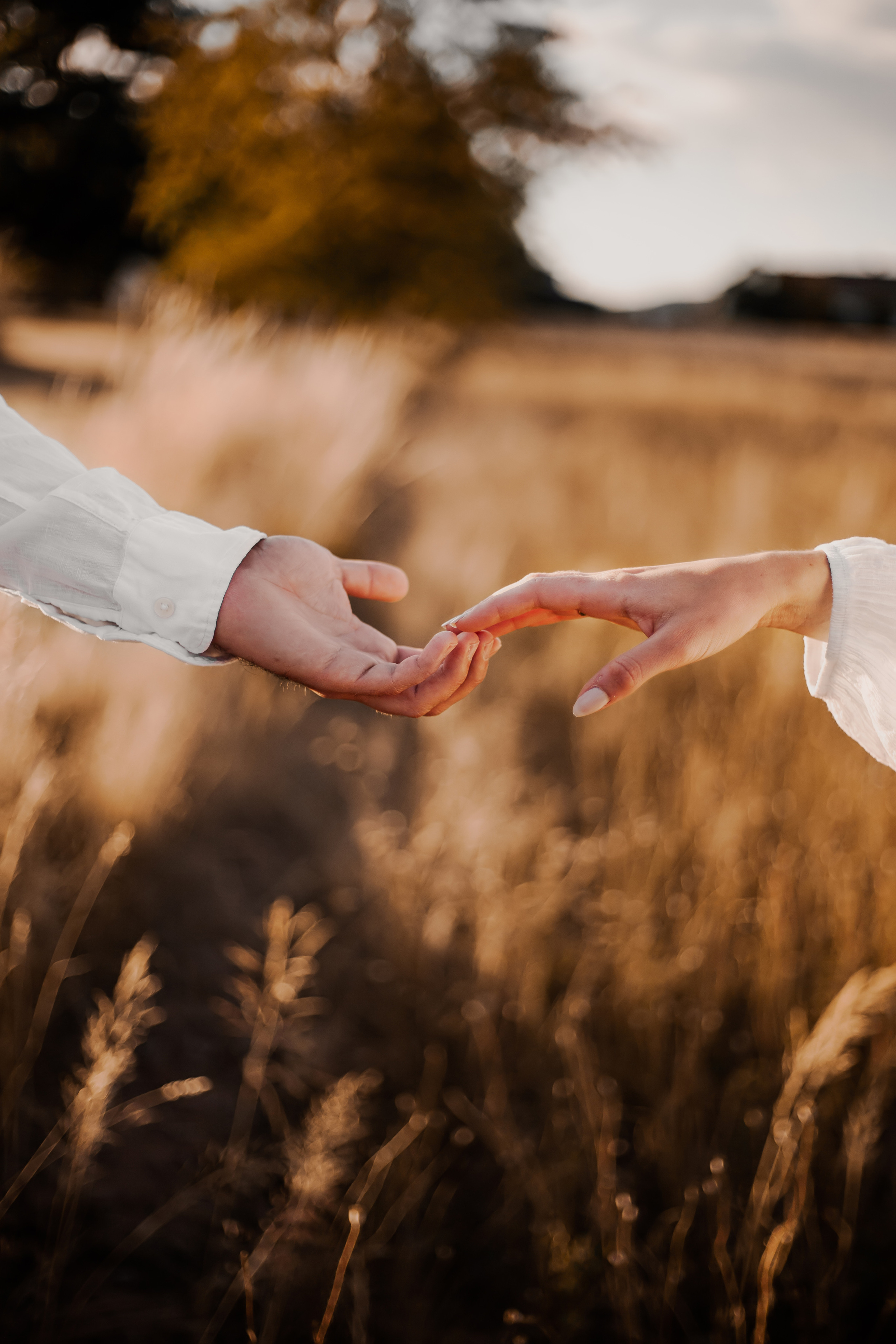 Couple. Lara Ilin Photography