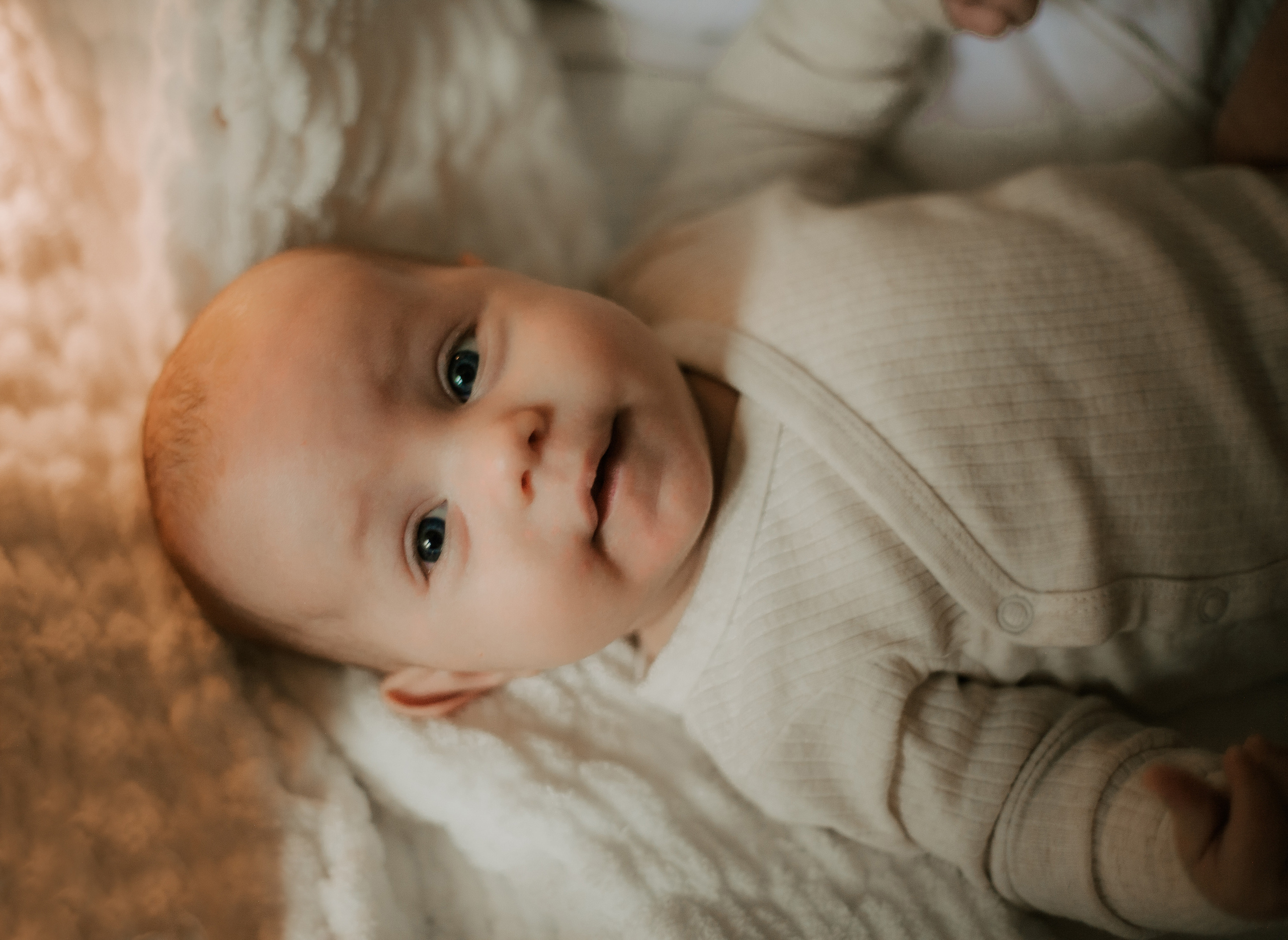 Newborn. Lara Ilin Photography