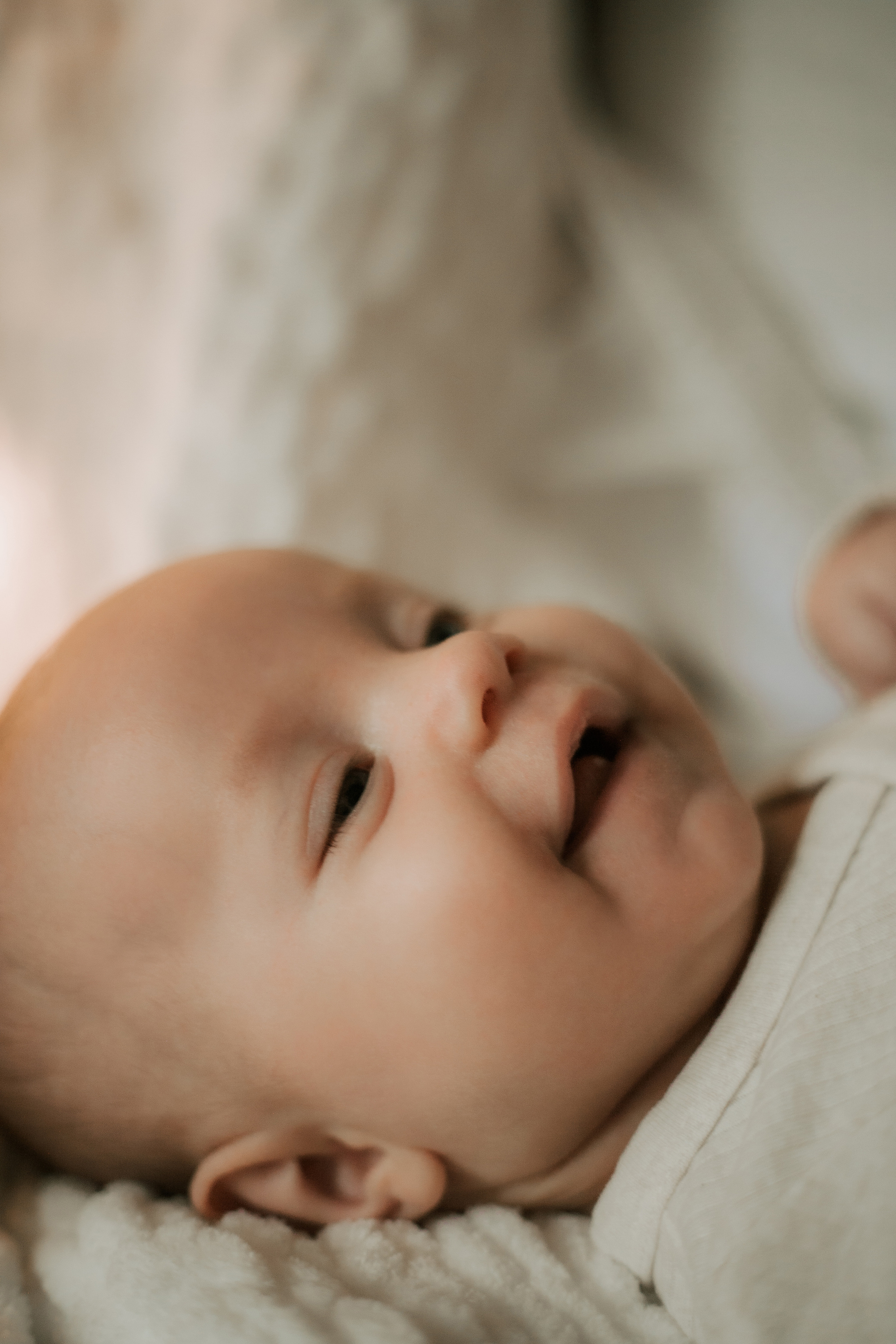 Newborn. Lara Ilin Photography